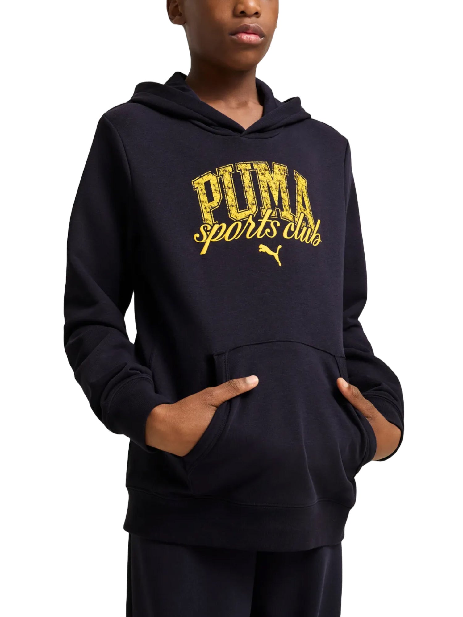 Felpe Blu Puma