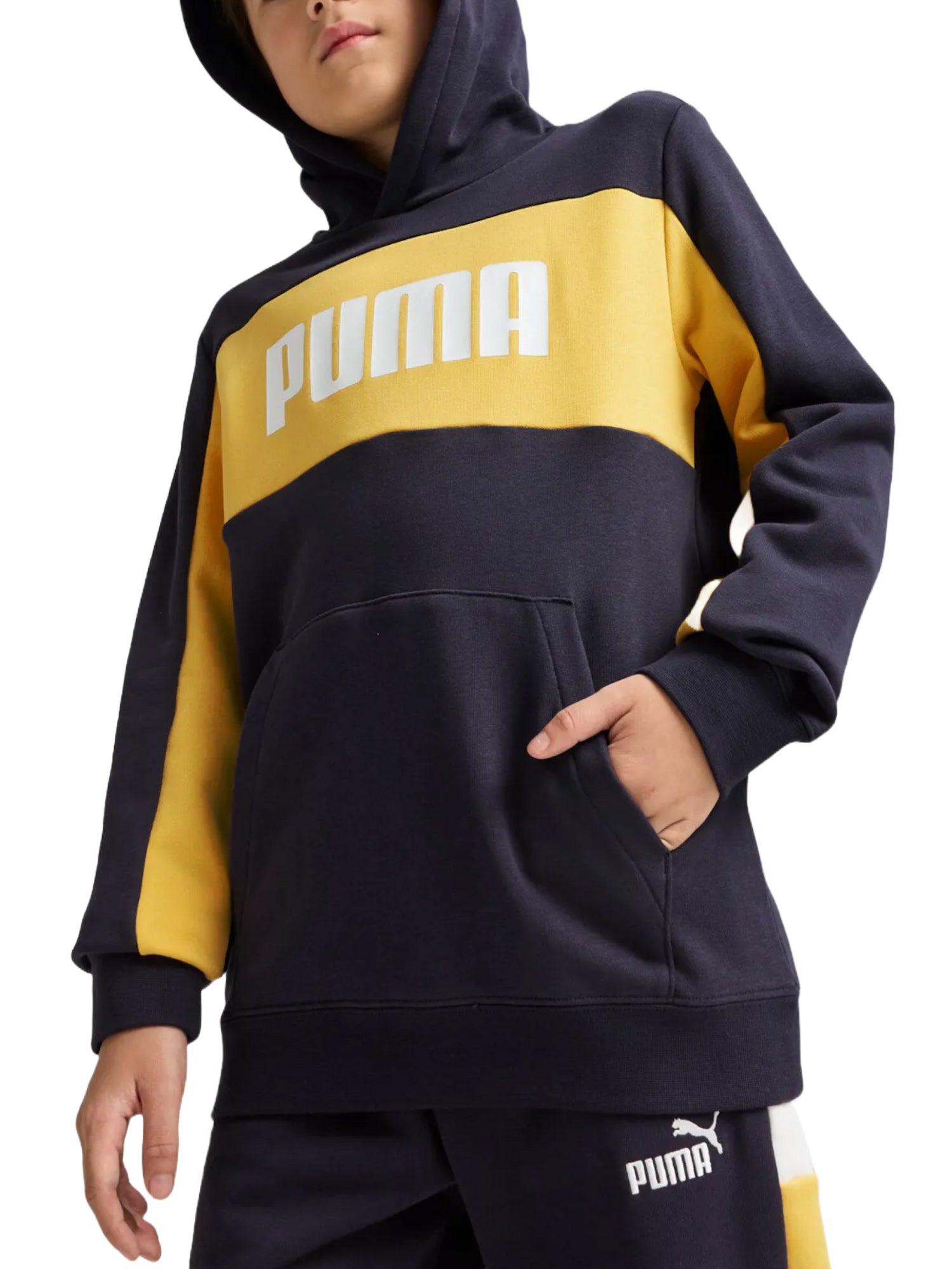 Felpe Blu Puma