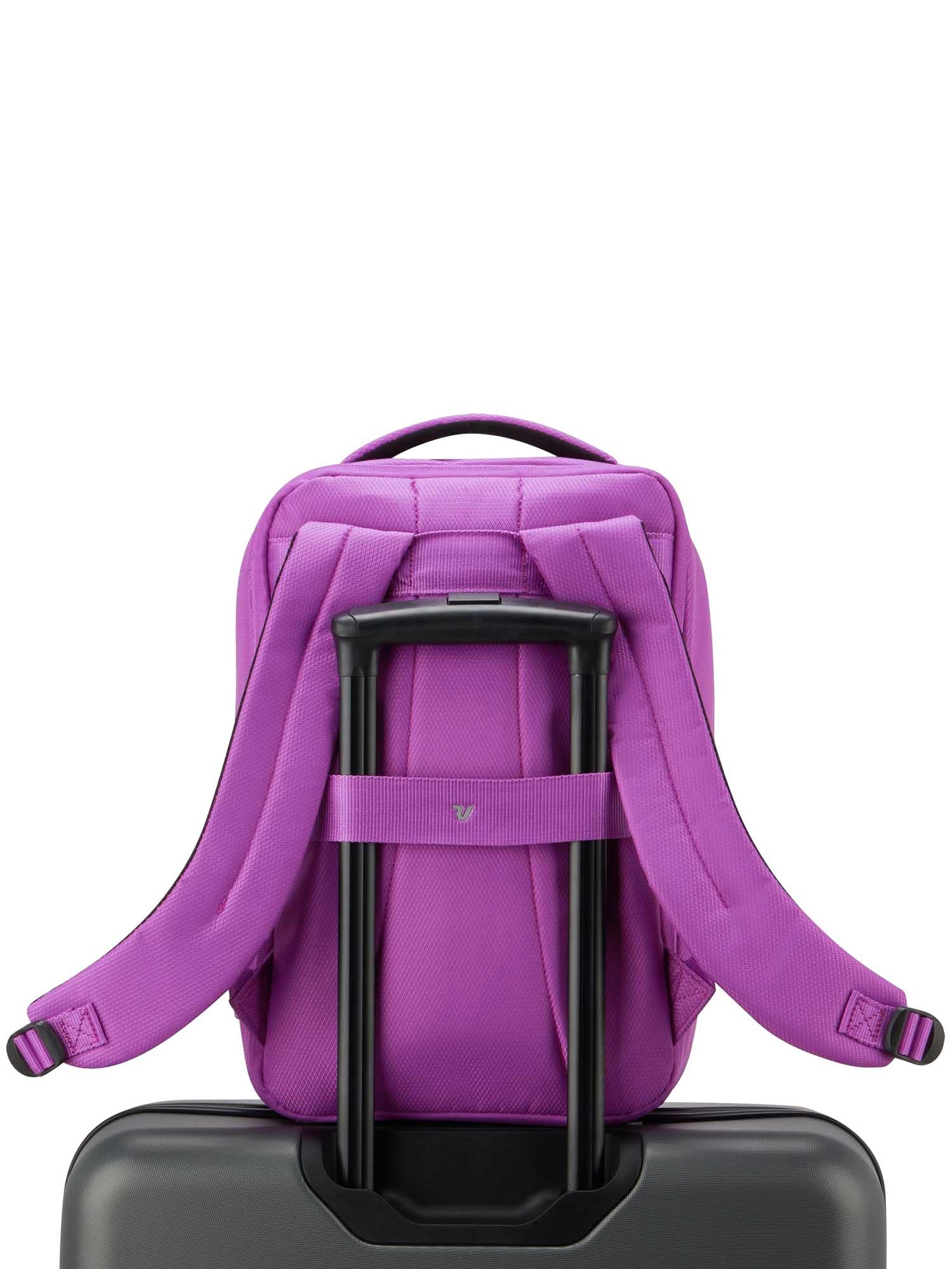 Zaini Viola Roncato