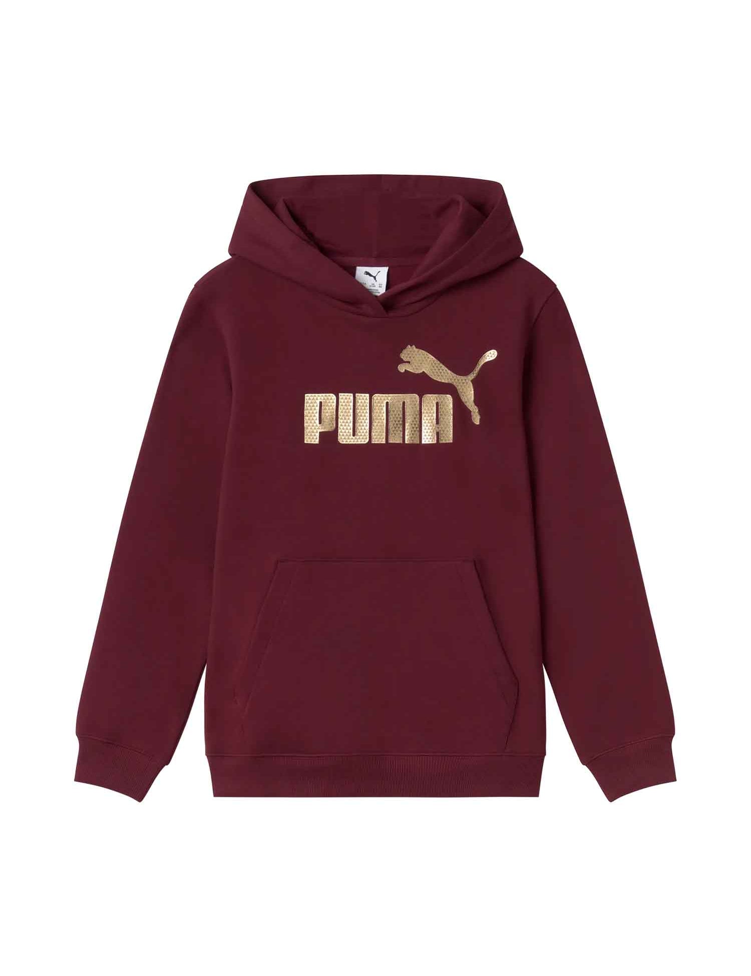 Felpe Bordeaux Puma