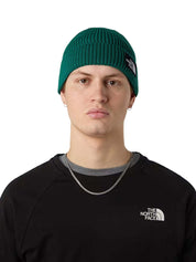 Cappelli Verde The North Face