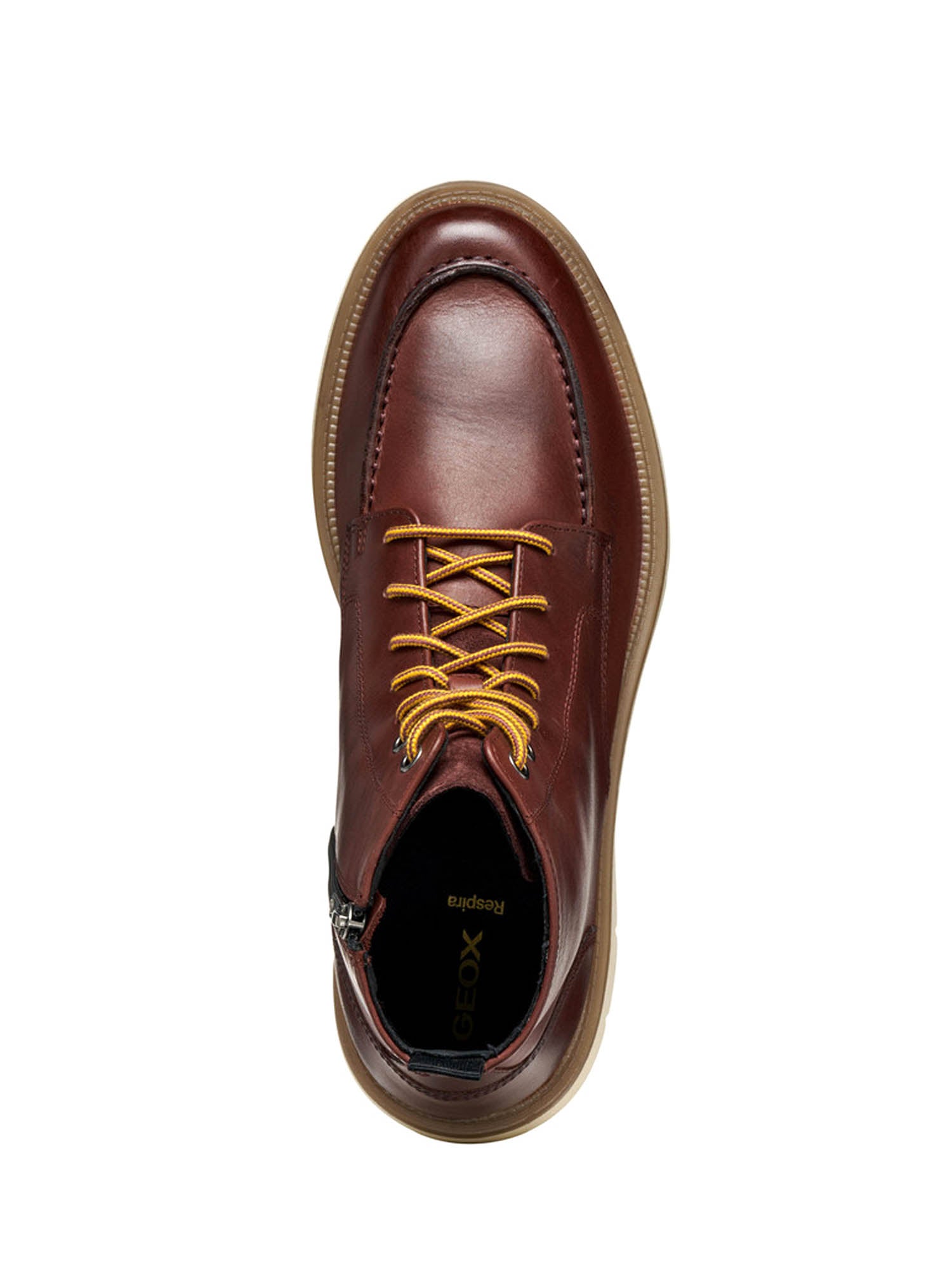 Anfibi Marrone Geox