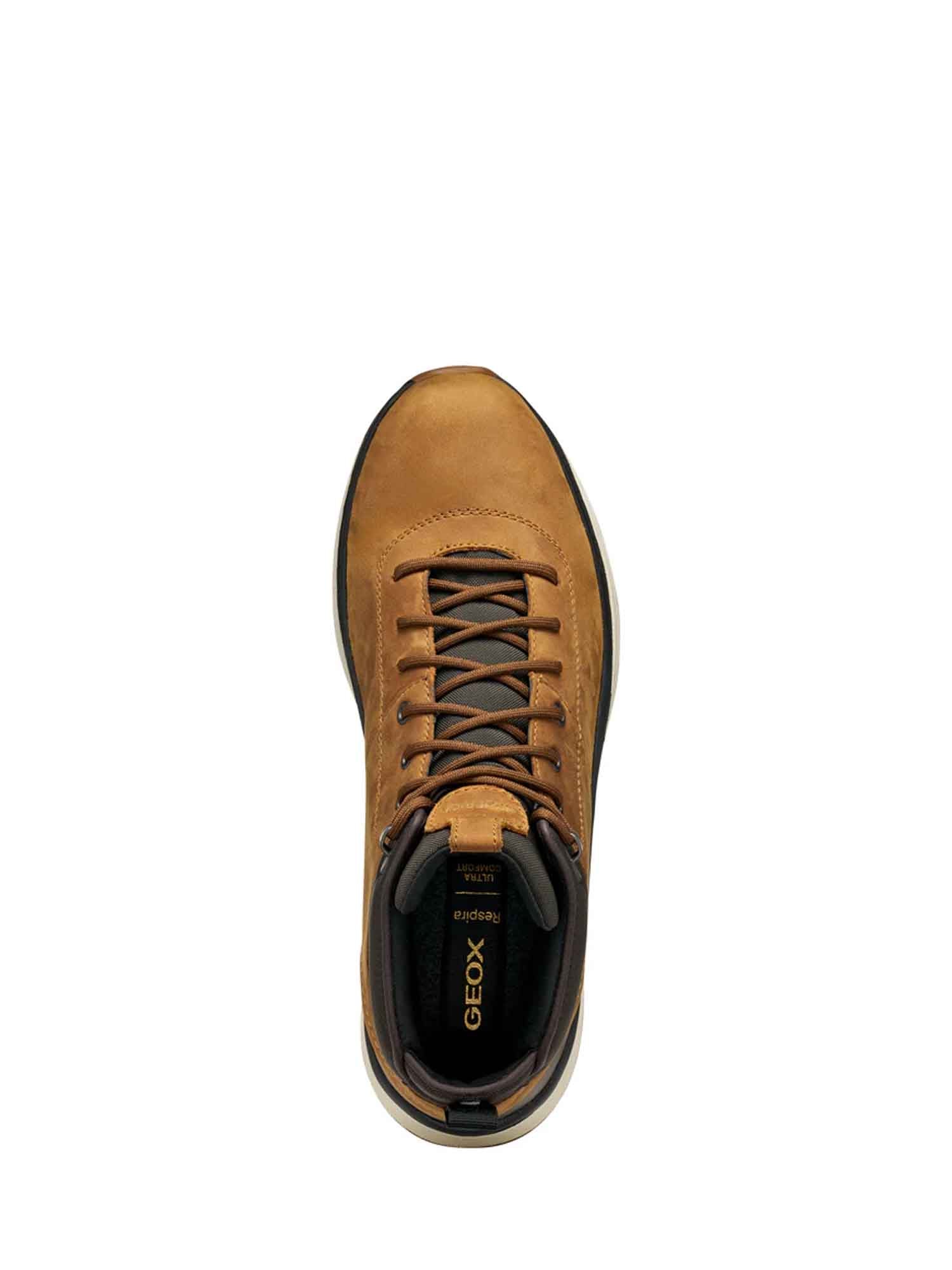 Anfibi Beige Geox