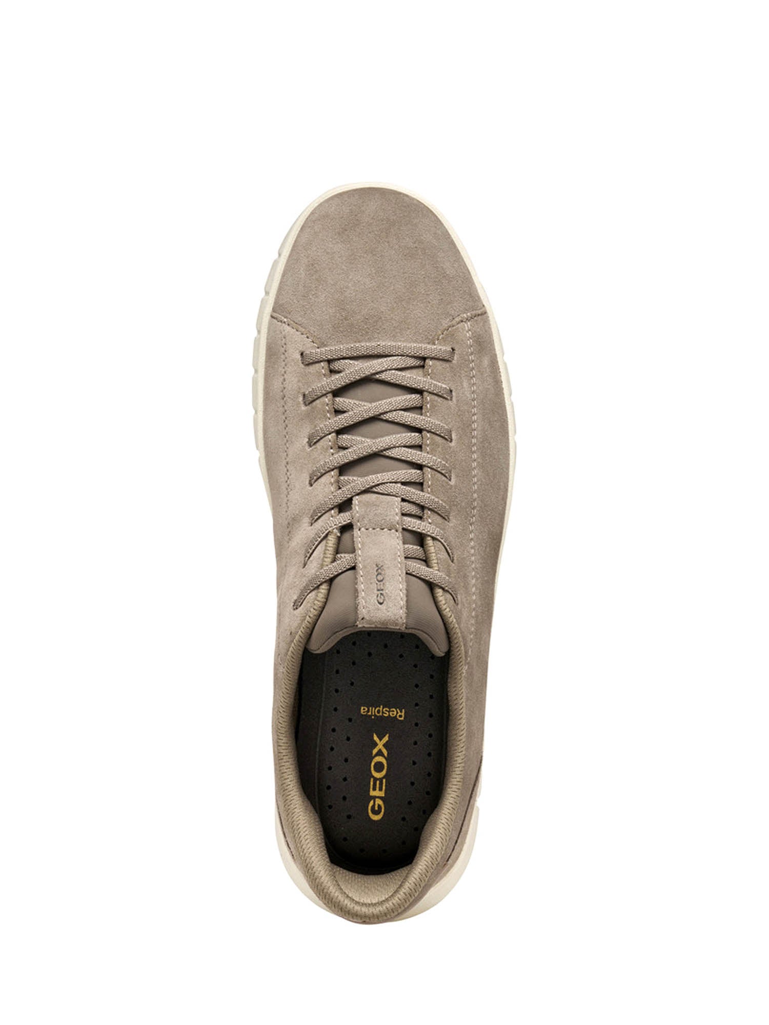 Sneakers Beige Geox