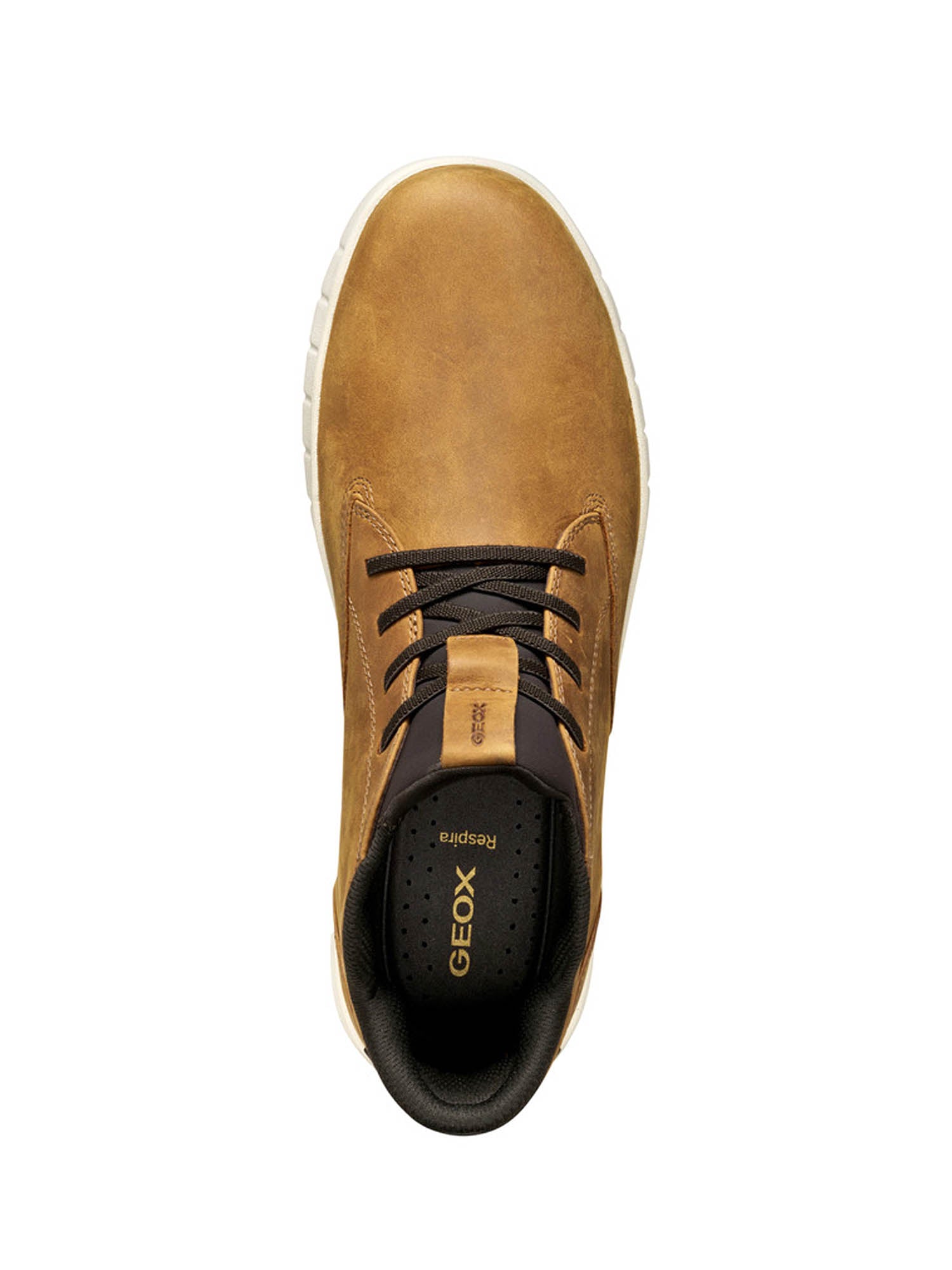 Sneakers Marrone Geox