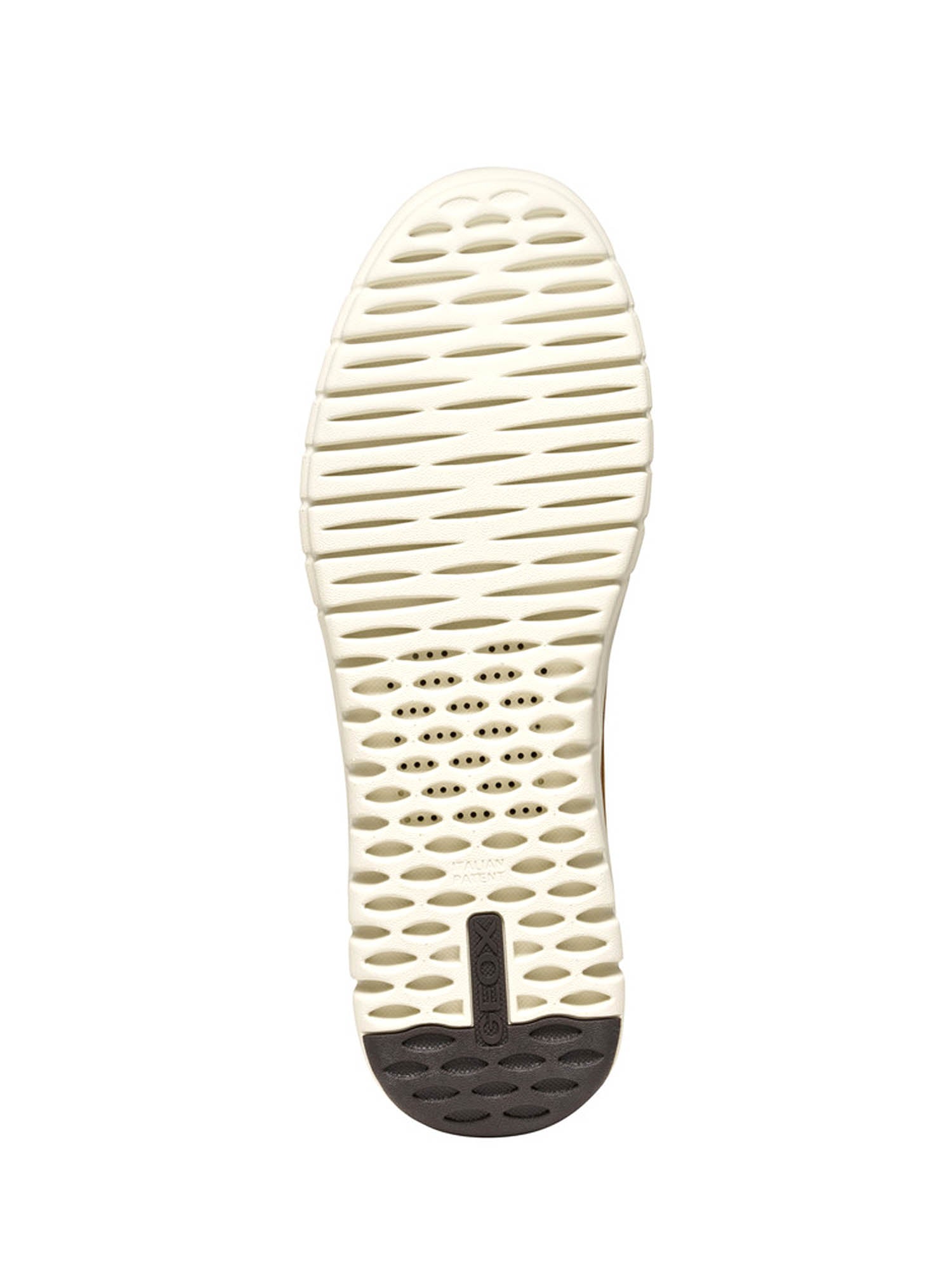 Sneakers Marrone Geox
