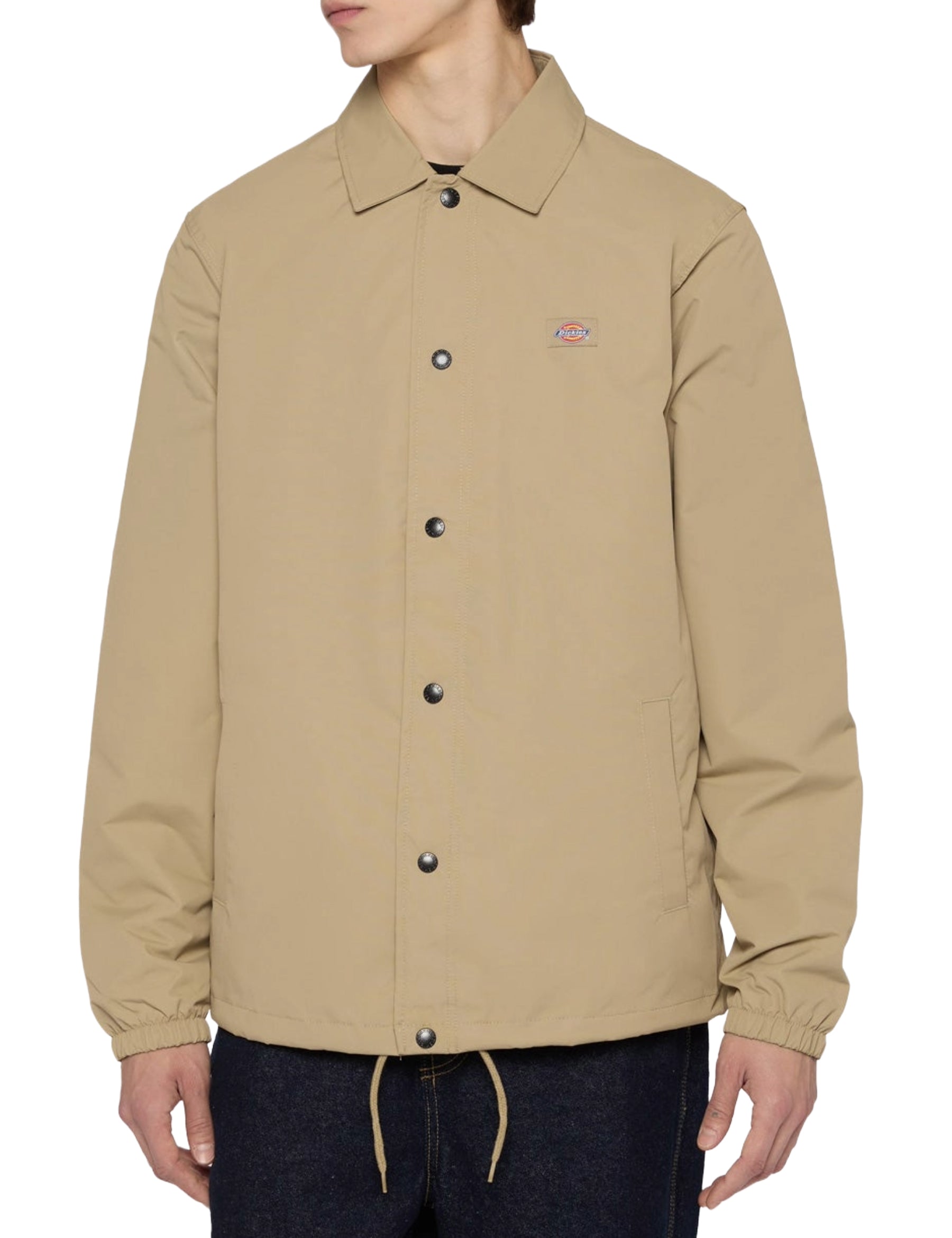 Giacche Beige Dickies