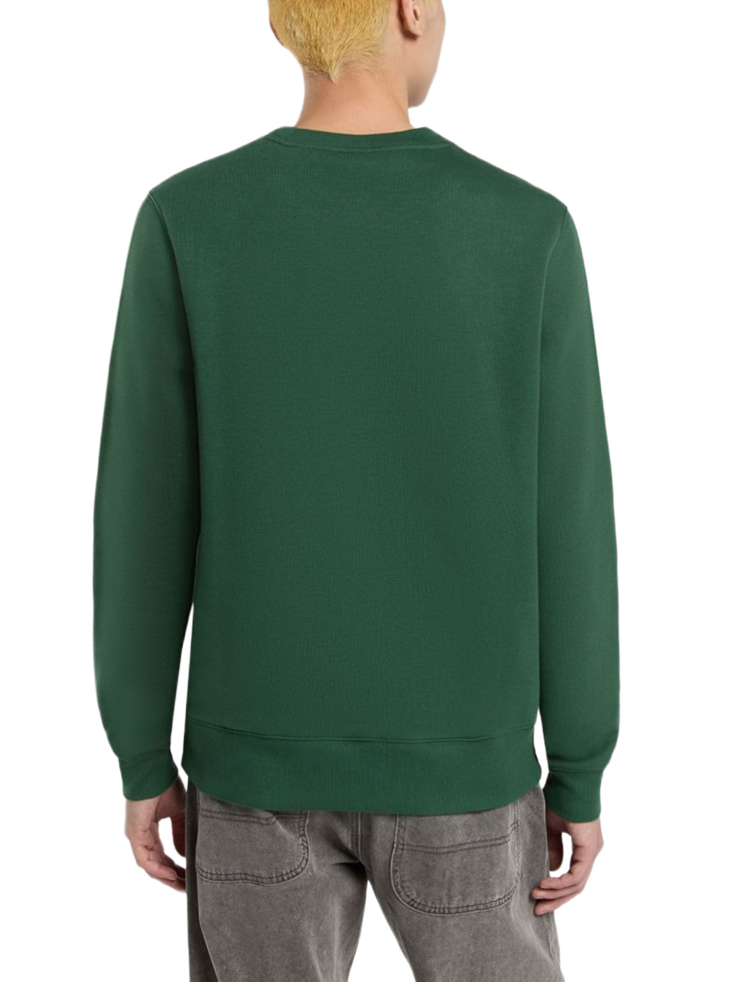 Felpe Verde Dickies