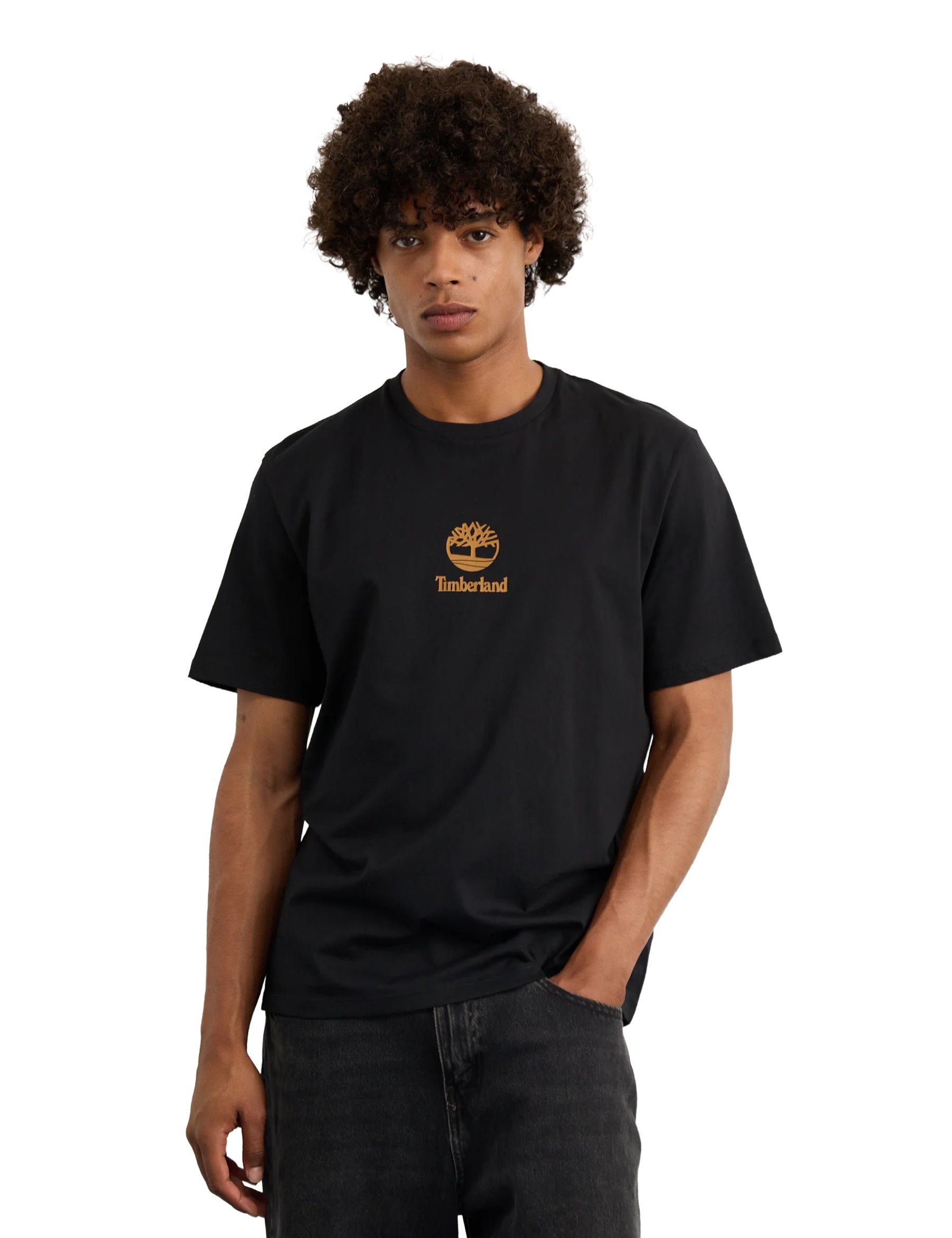 T-shirt Nero Timberland