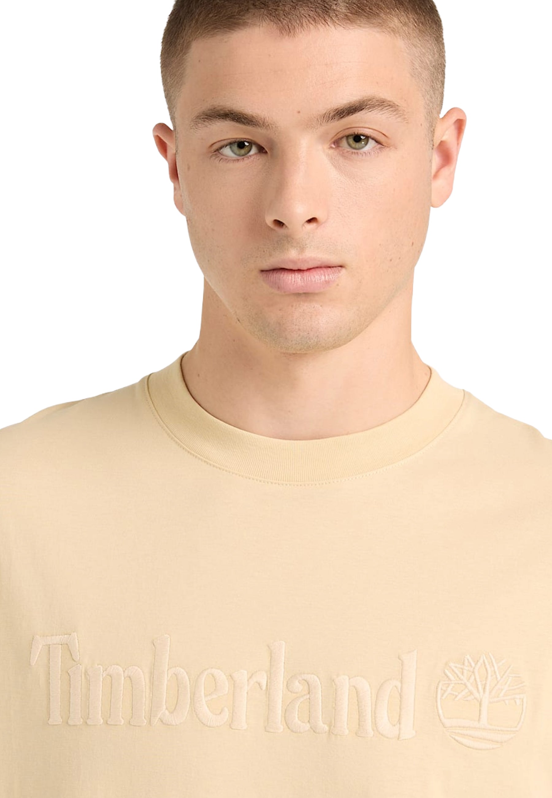 T-shirt Beige Timberland