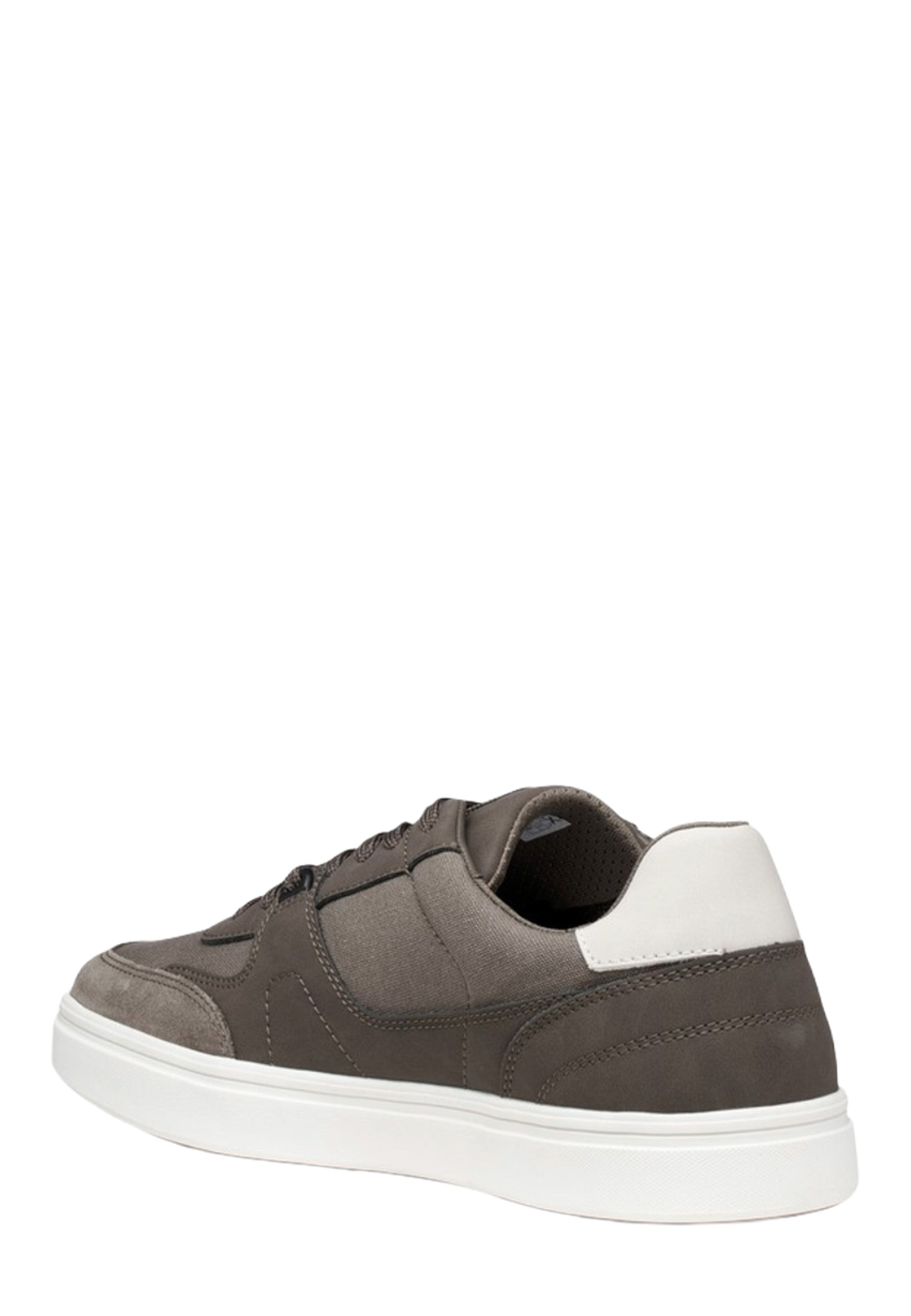 Sneakers Tortora Geox