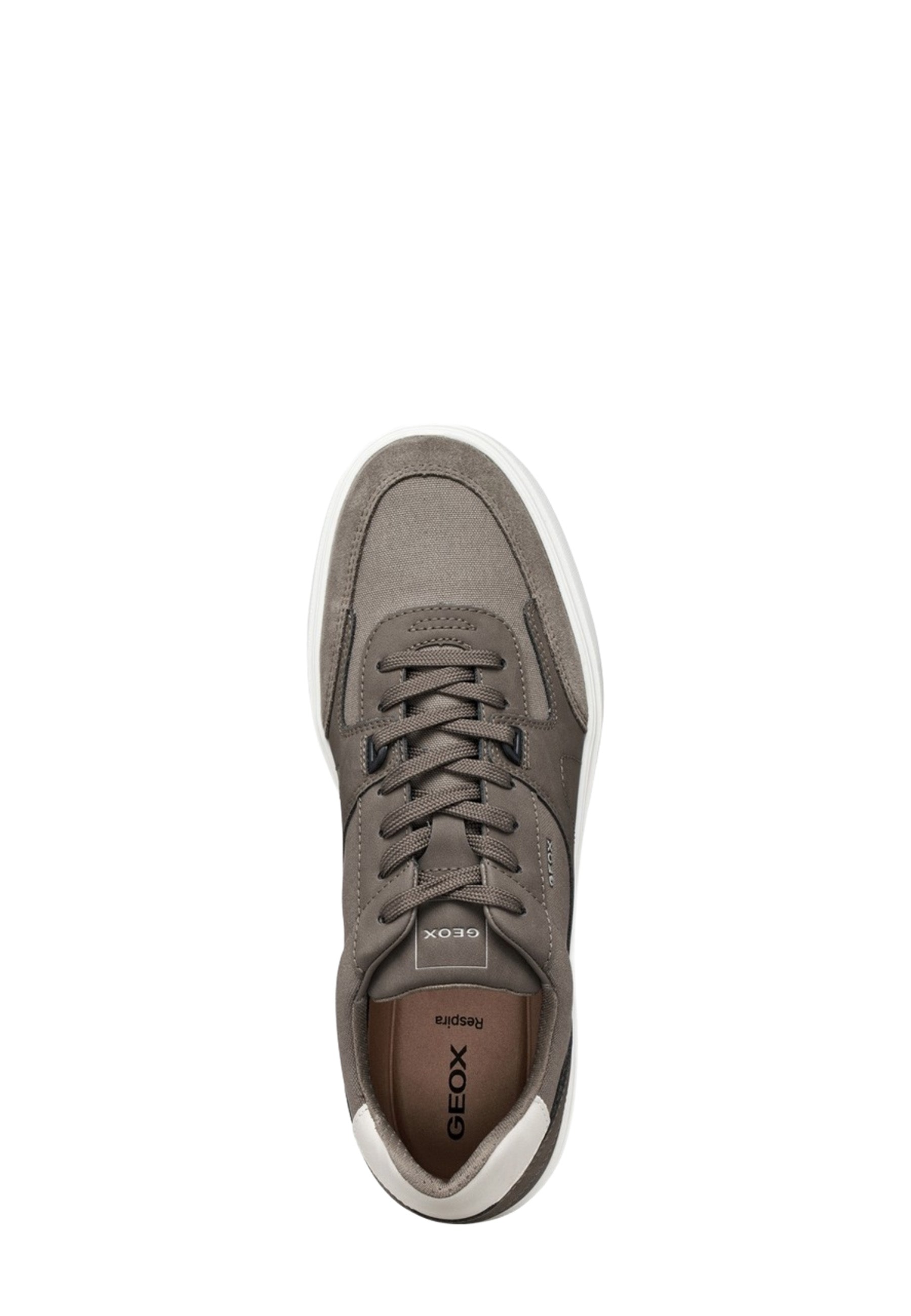 Sneakers Tortora Geox