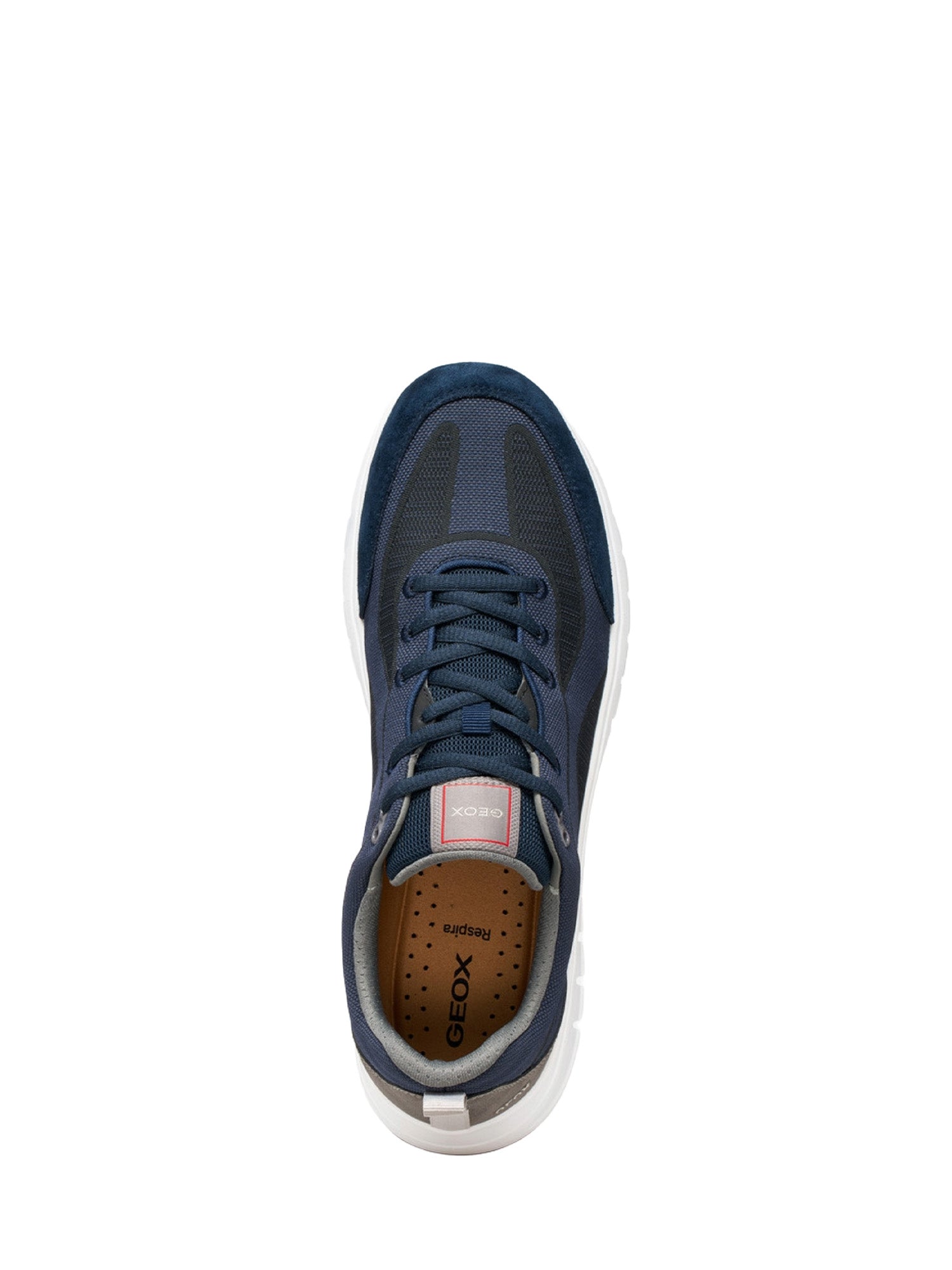 Sneakers Blu Geox