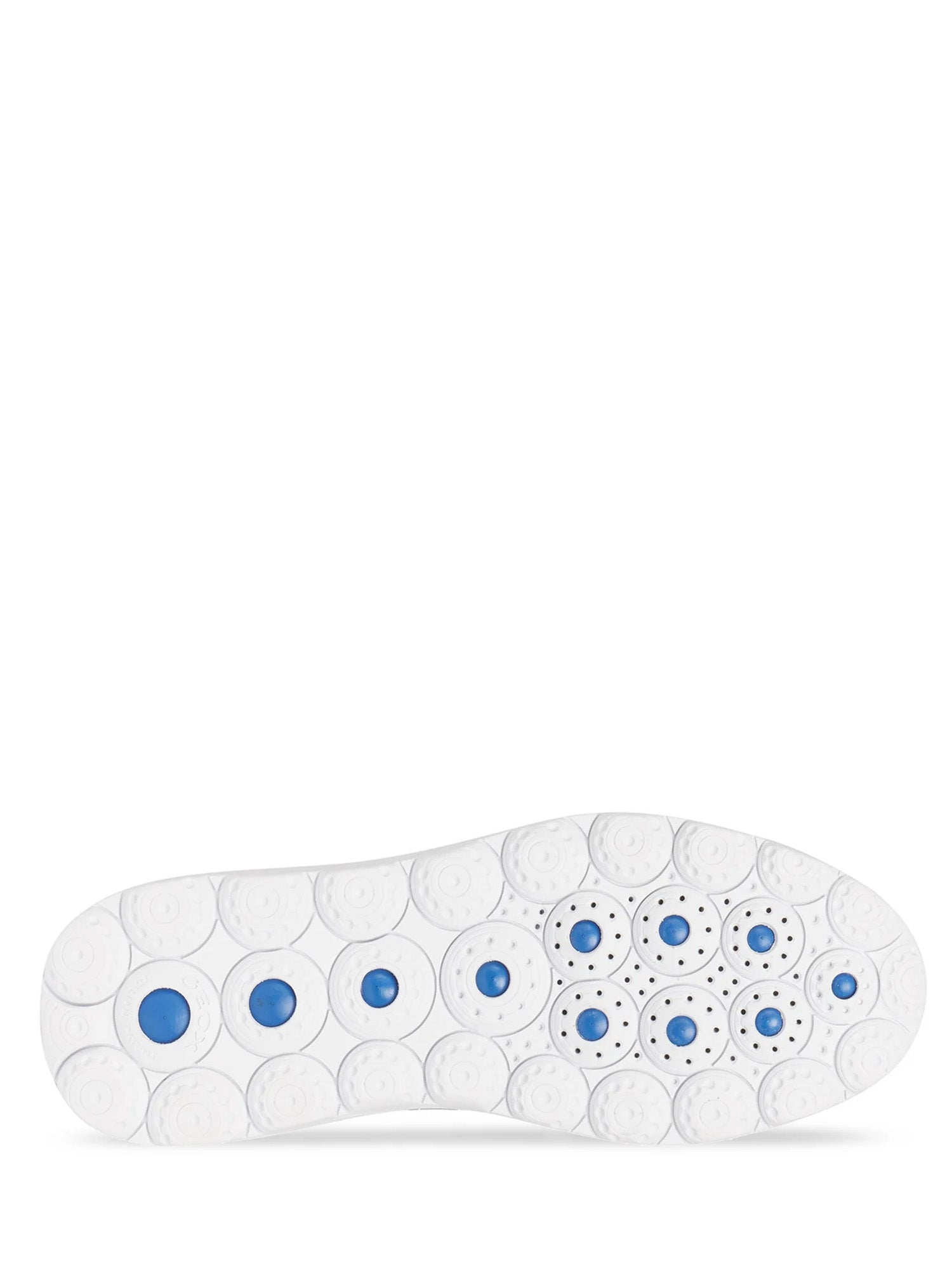 Sneakers Grigio Geox