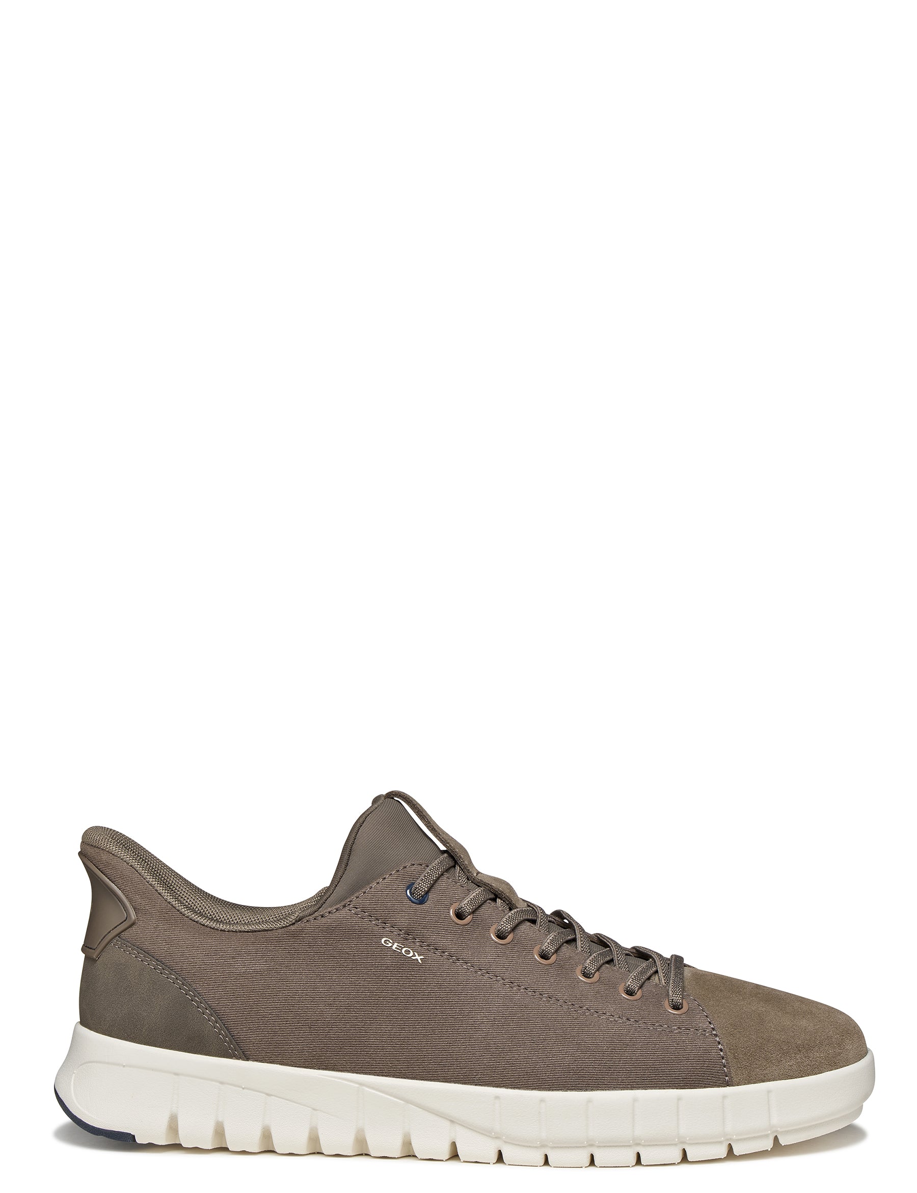 Sneakers Tortora Geox