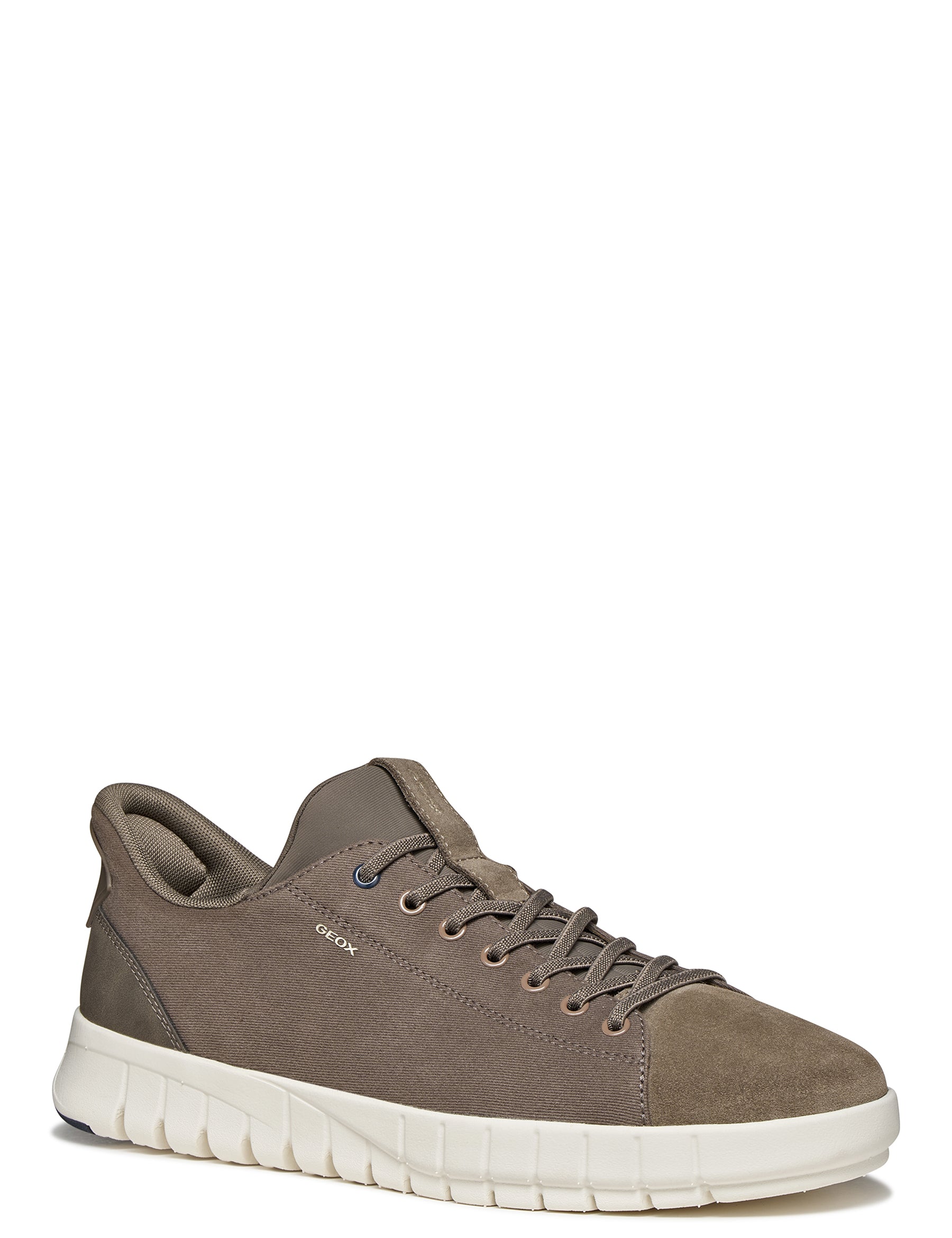 Sneakers Tortora Geox