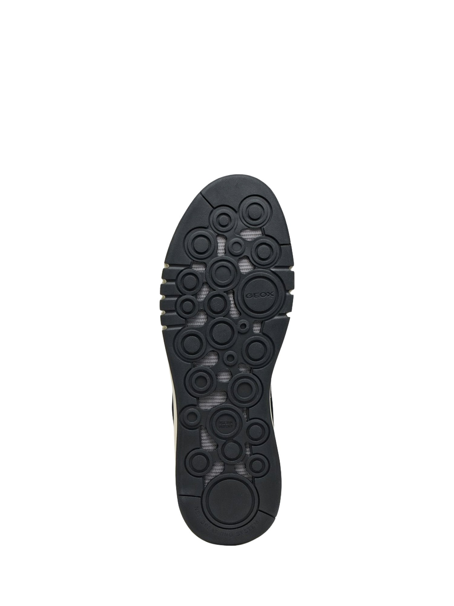 Sneakers Blu Geox