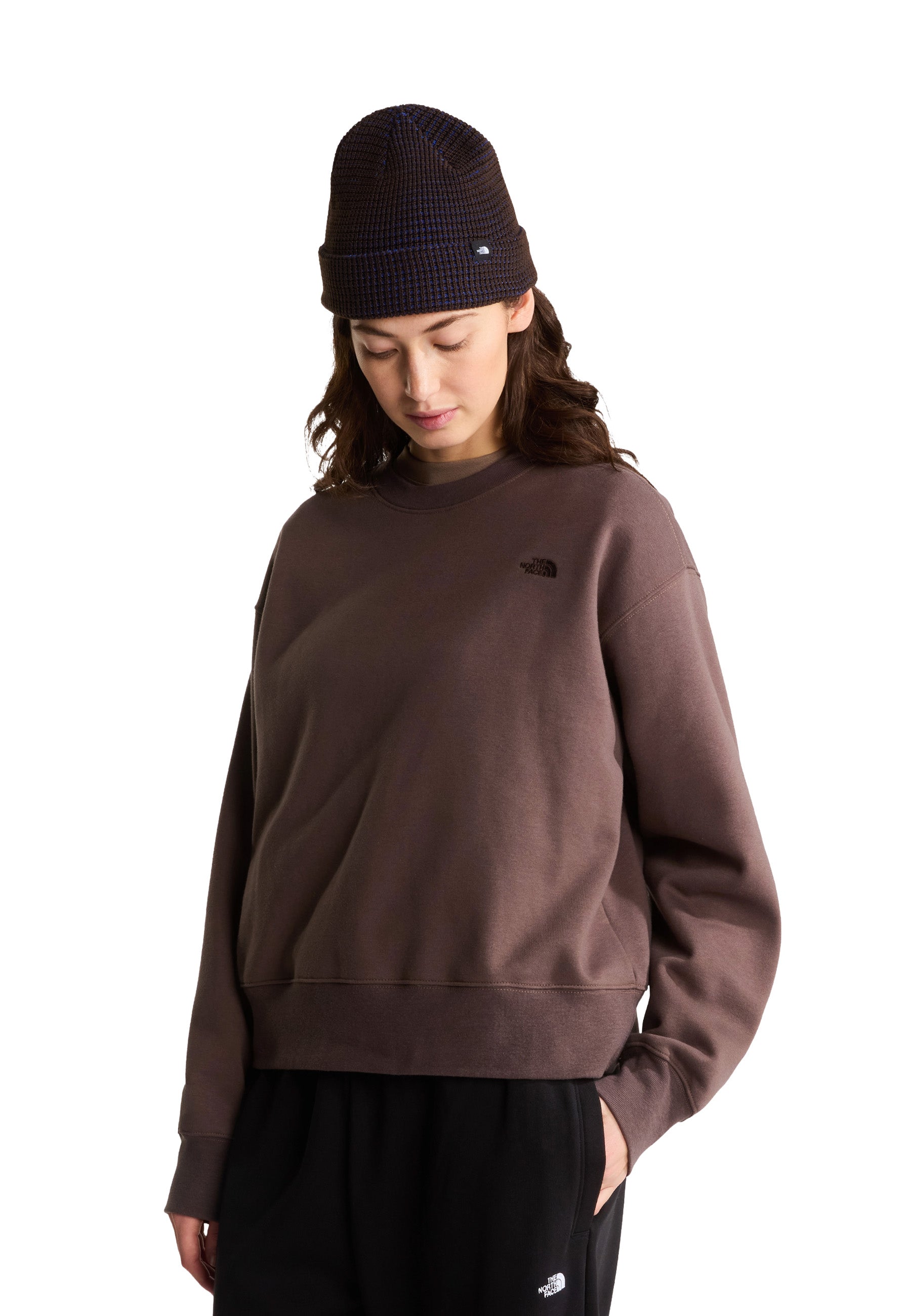 Felpe Marrone The North Face