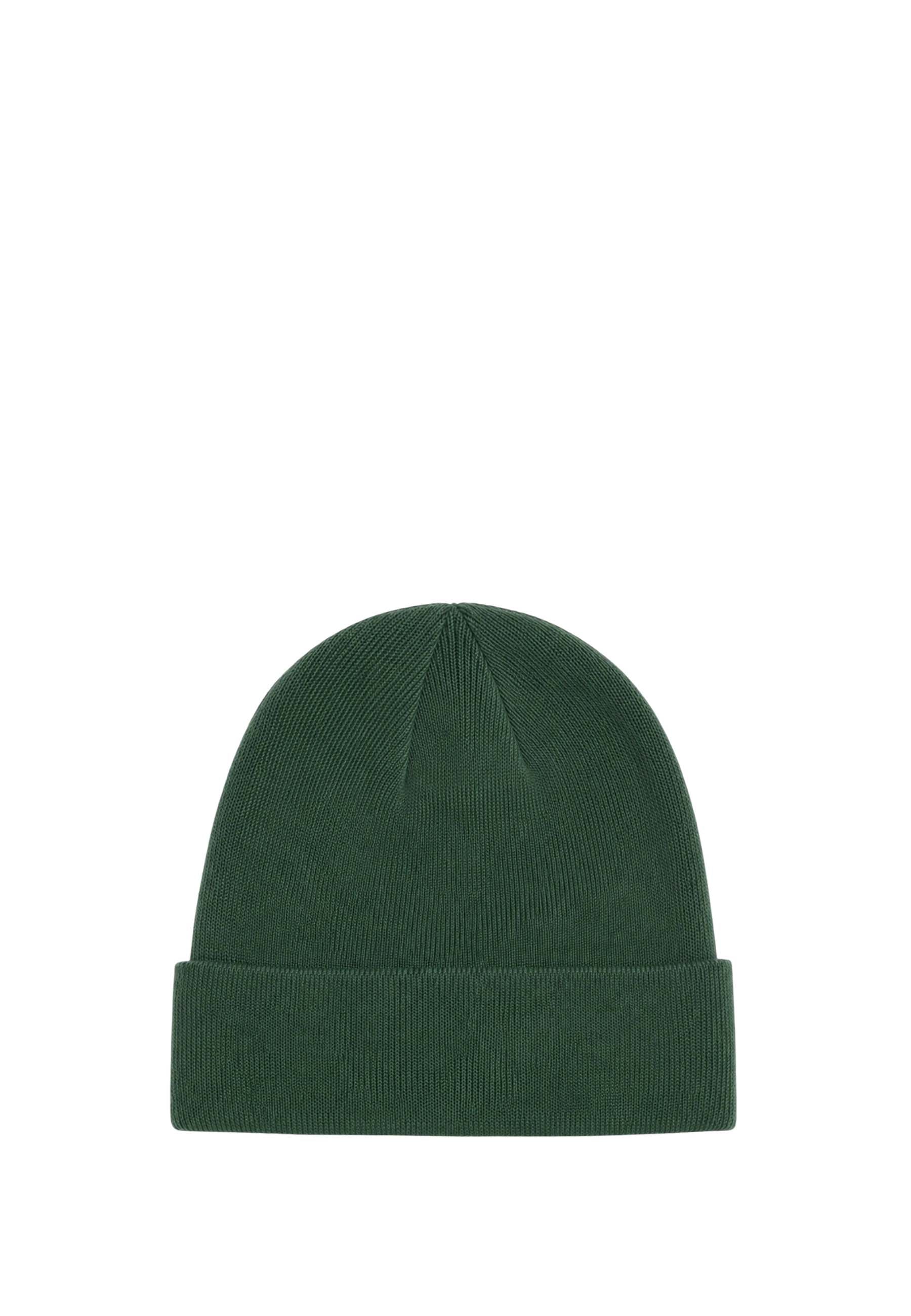 Cappelli Verde Scuro The North Face