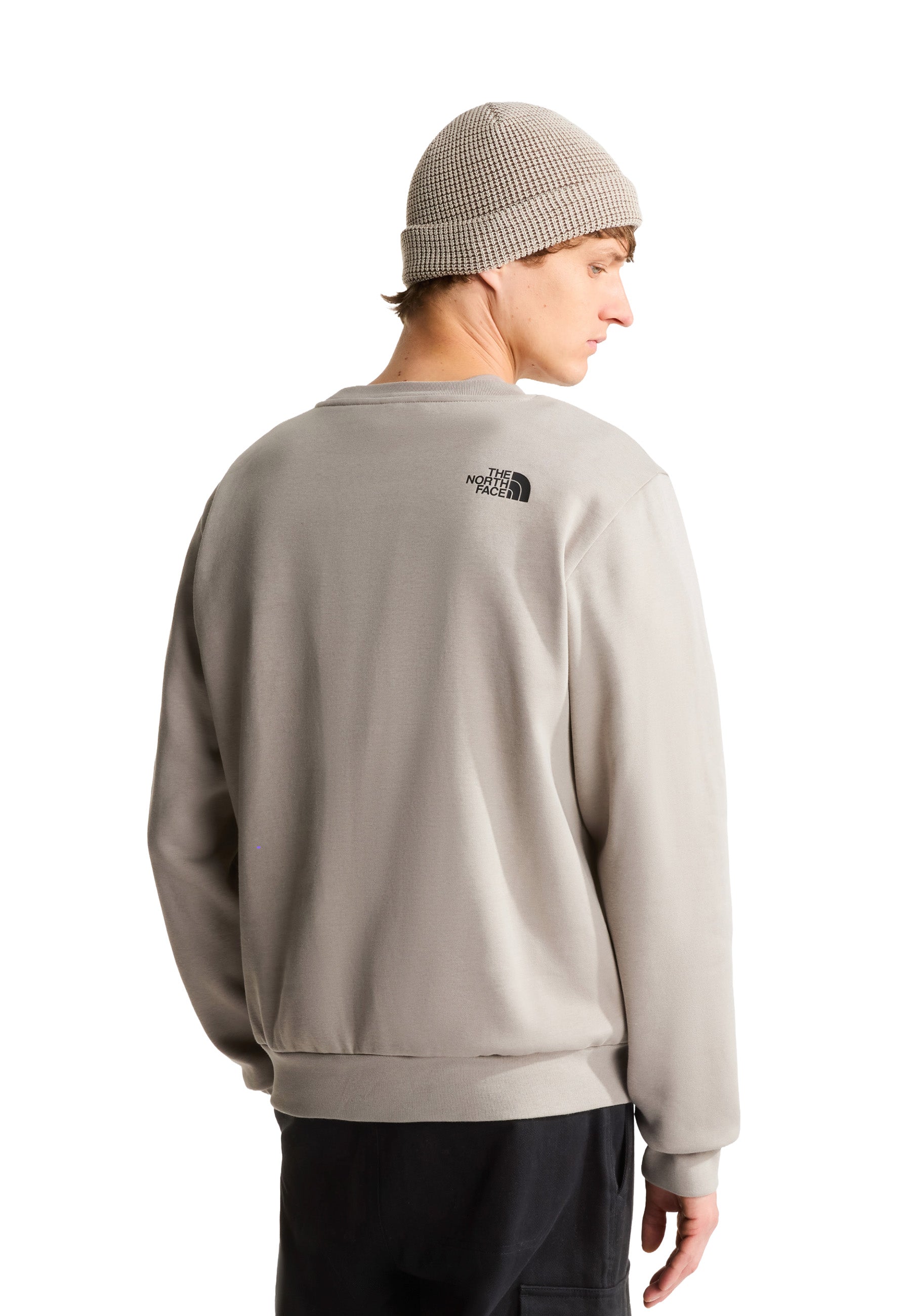 Felpe Beige The North Face