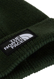 Cappelli Verde Scuro The North Face