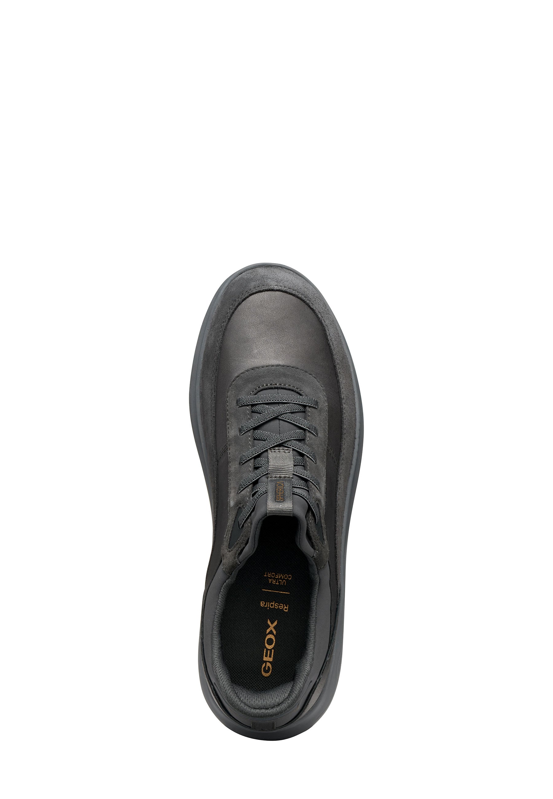 Sneakers Grigio Geox