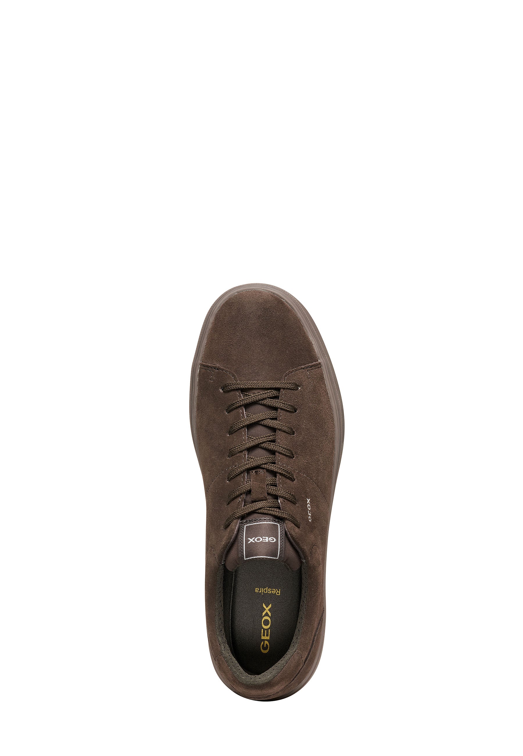 Sneakers Marrone Geox