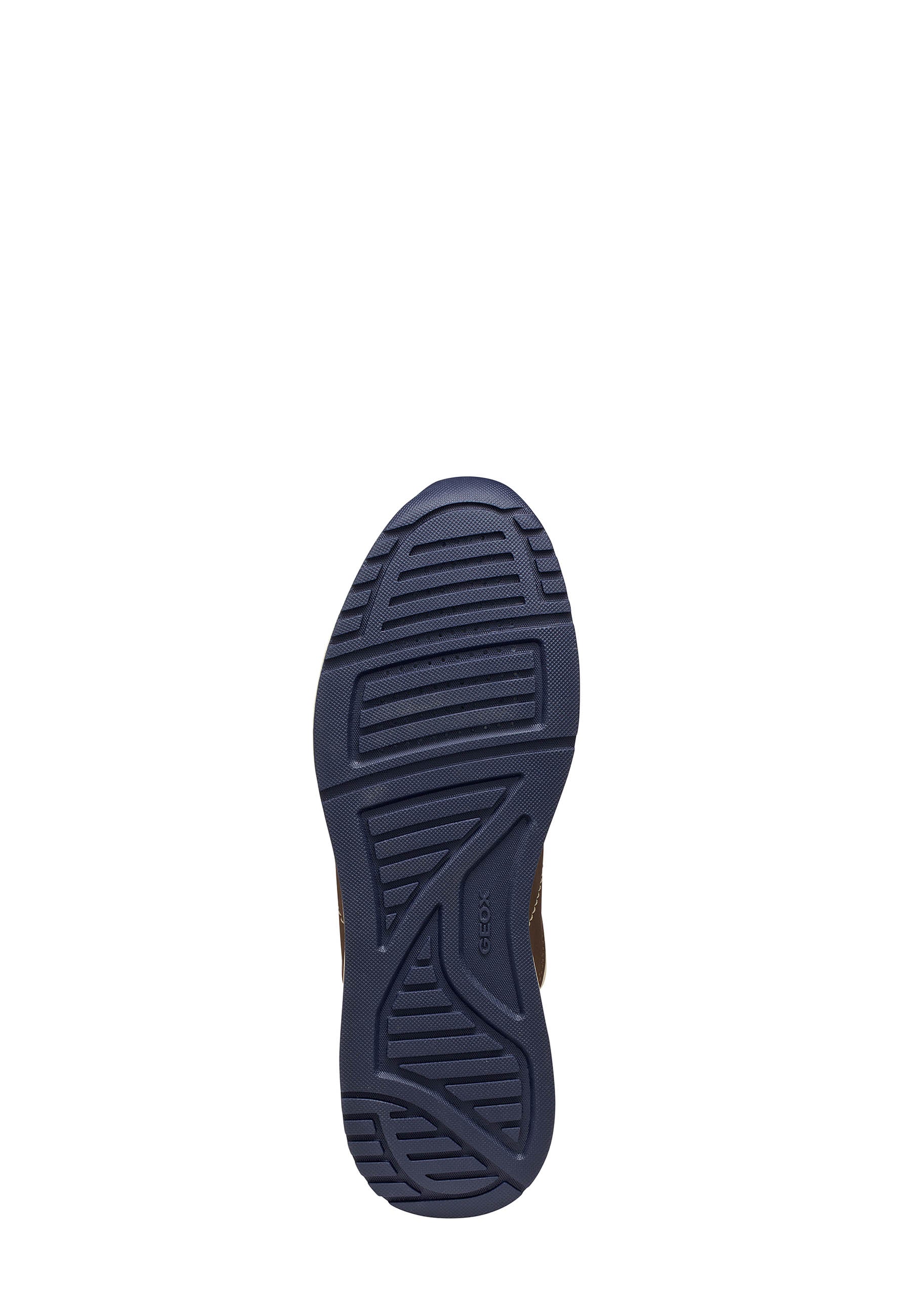 Sneakers Marrone Geox
