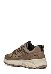 Sneakers Marrone Geox