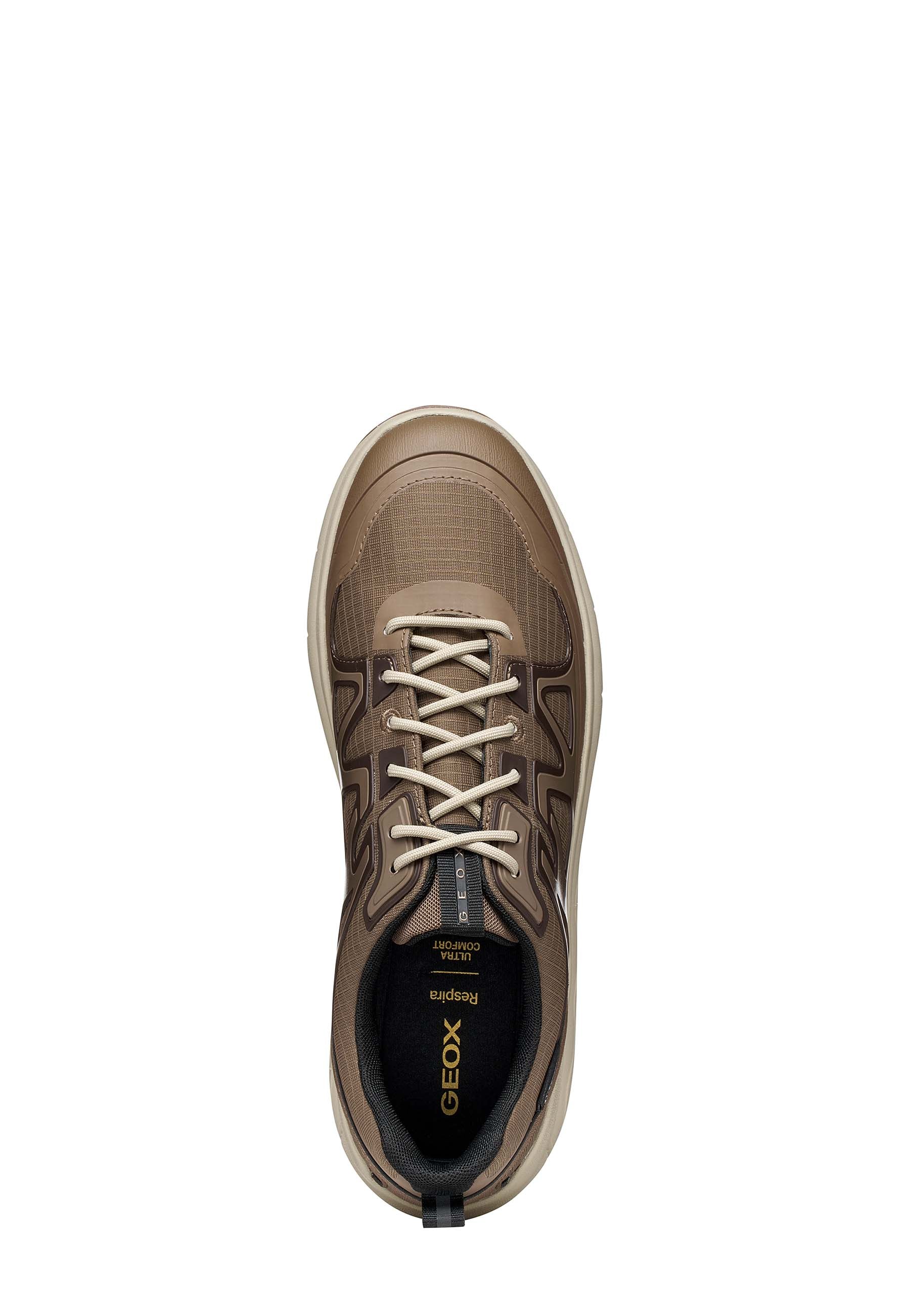 Sneakers Marrone Geox