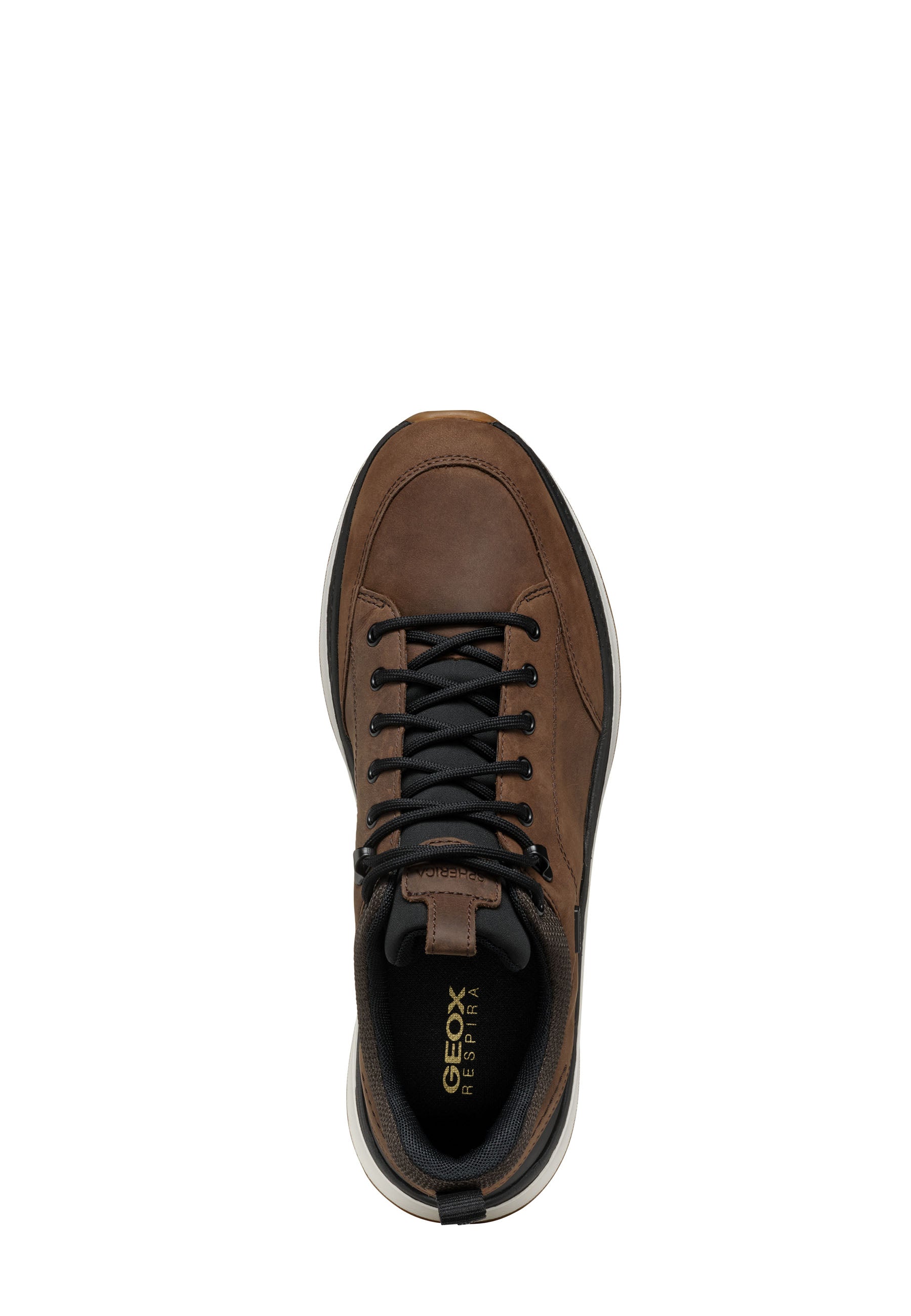 Sneakers Marrone Geox