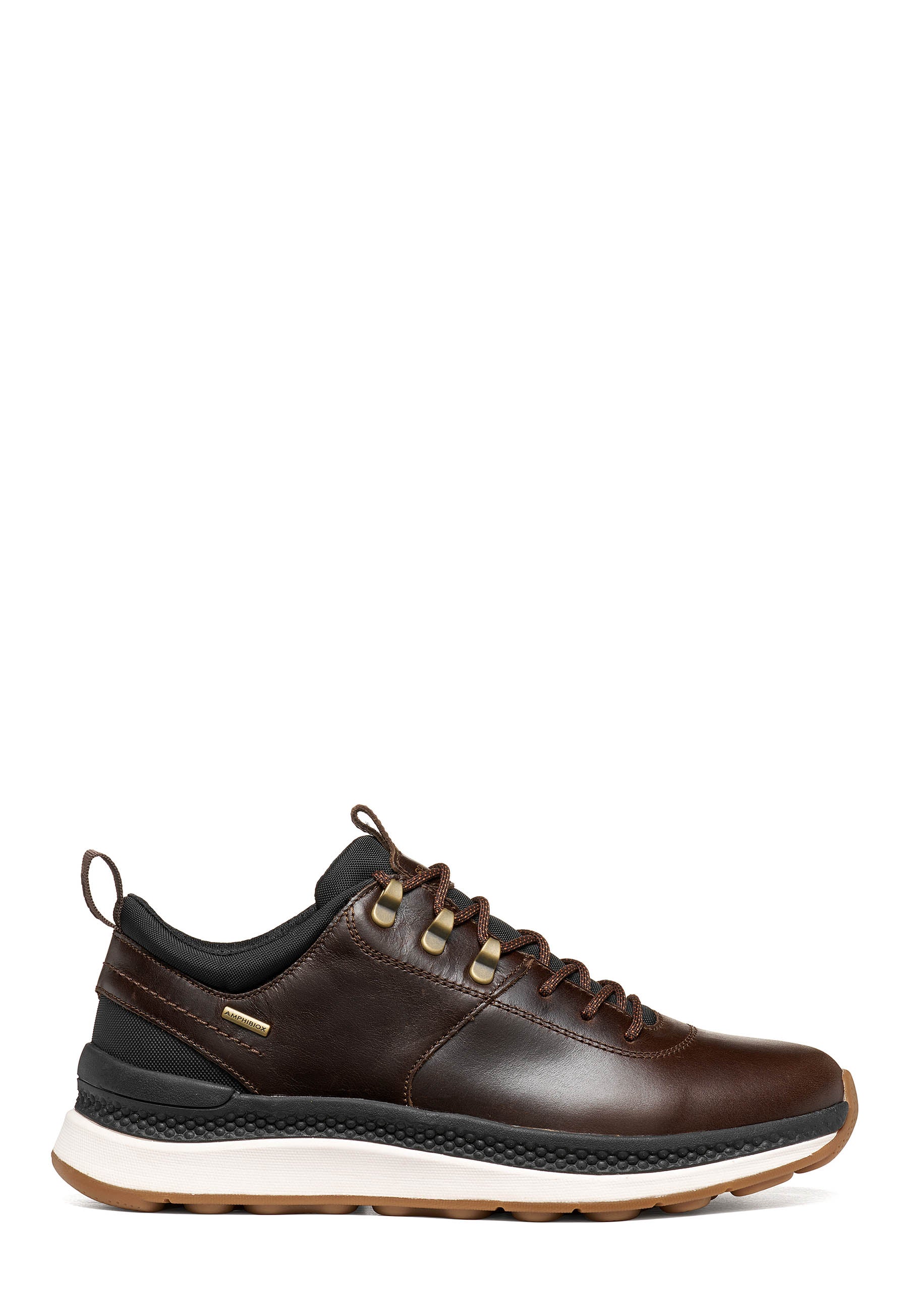 Sneakers Marrone Geox