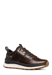 Sneakers Marrone Geox