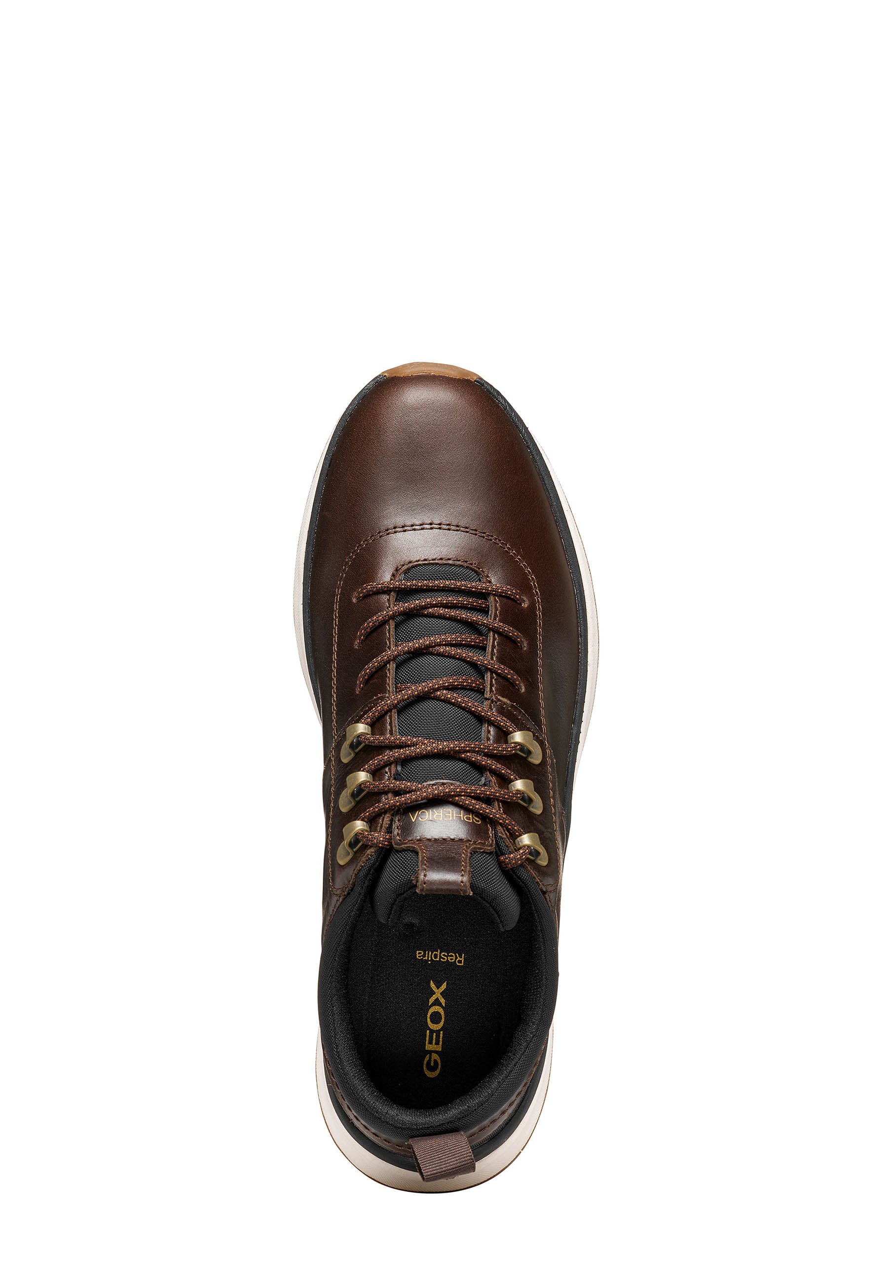 Sneakers Marrone Geox