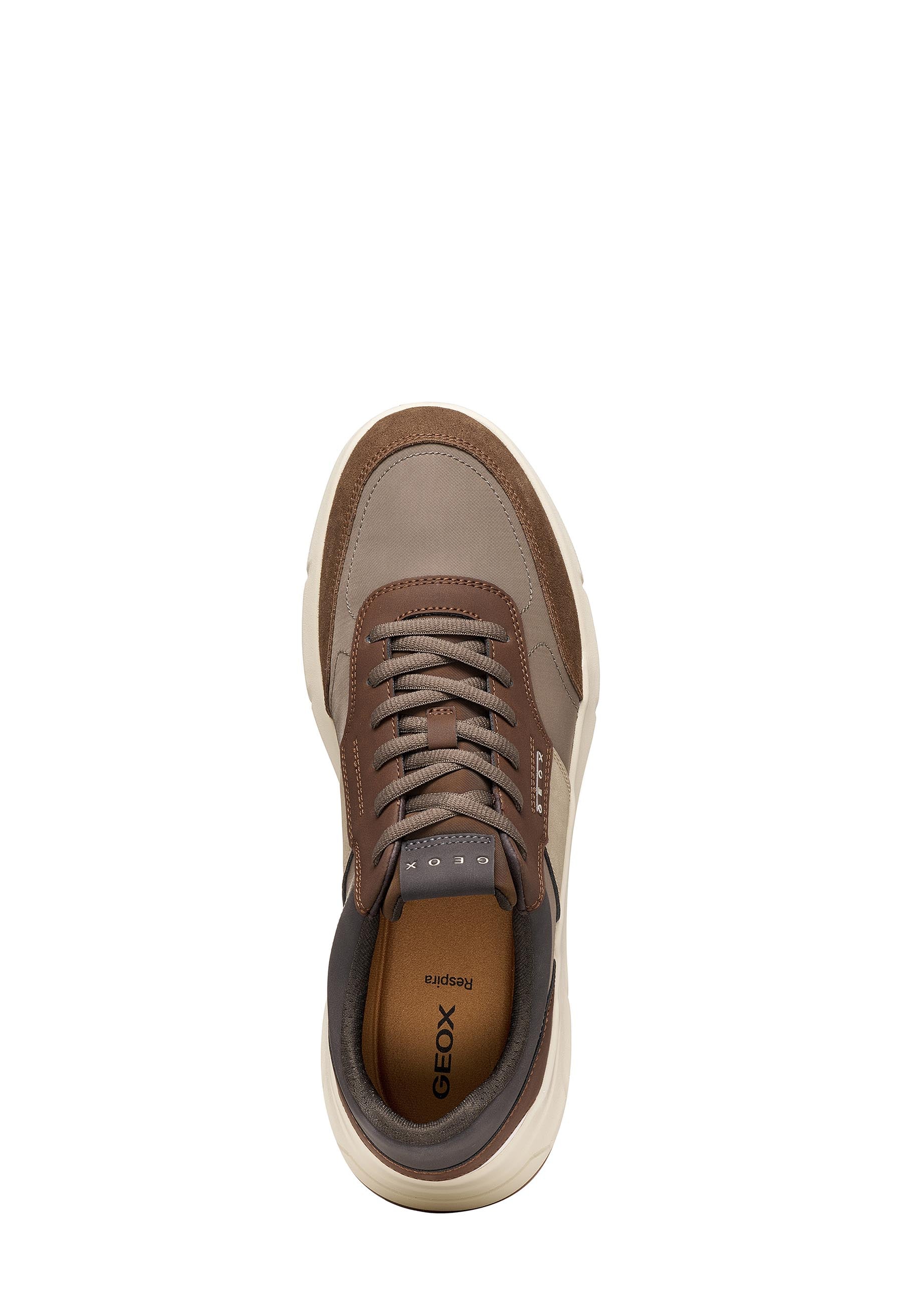 Sneakers Marrone Geox