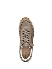 Sneakers Marrone Geox