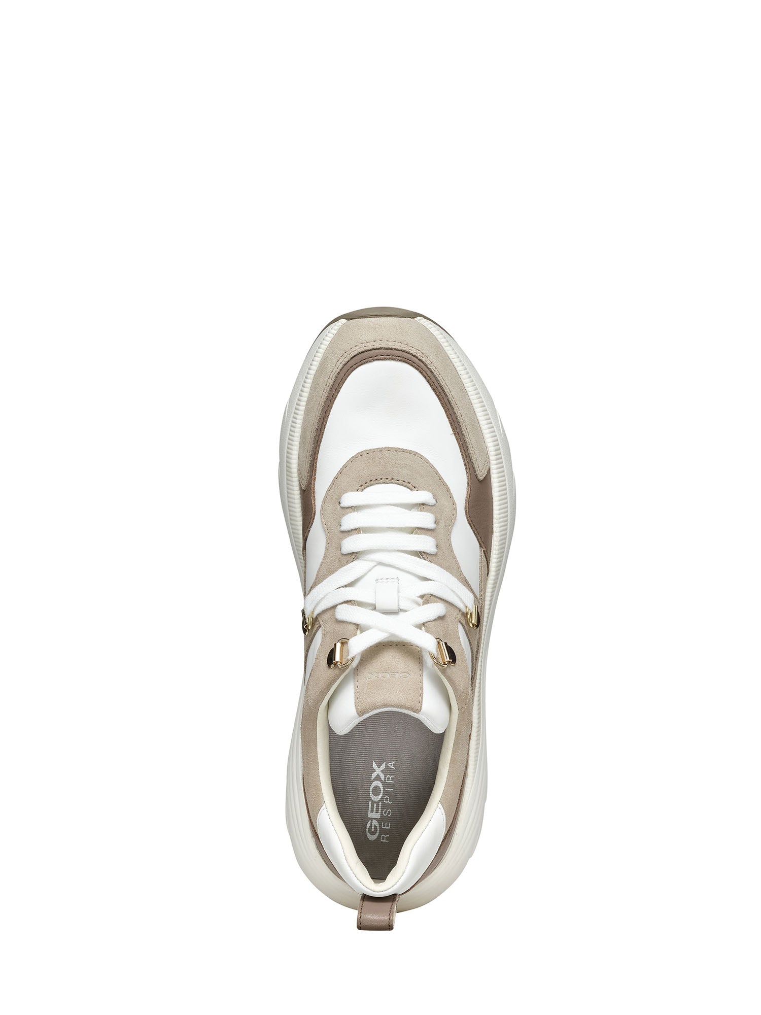 Sneakers Beige Geox