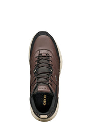 Sneakers Marrone Geox