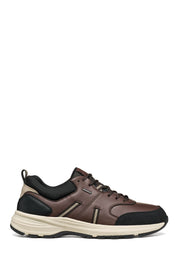 Sneakers Marrone Geox