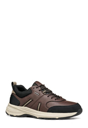 Sneakers Marrone Geox