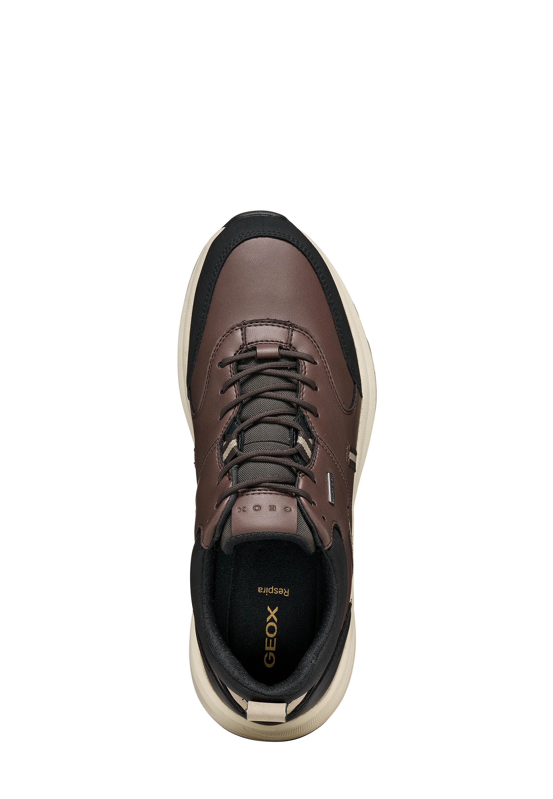 Sneakers Marrone Geox