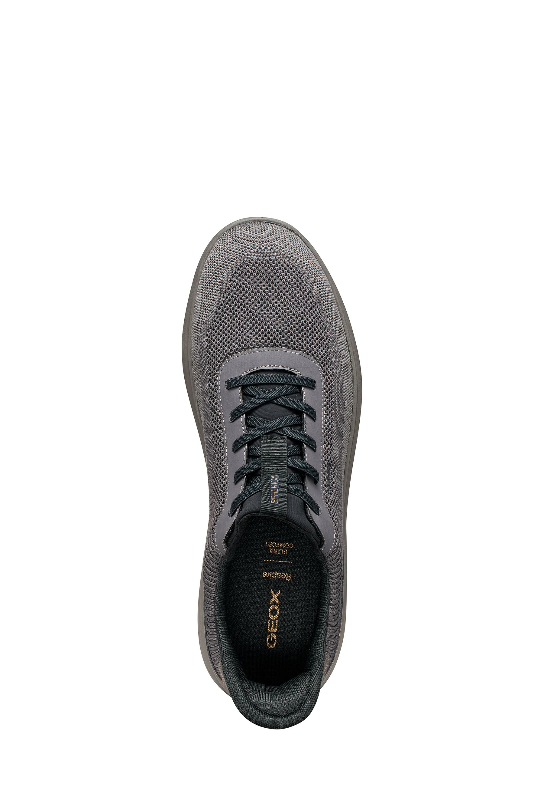Sneakers Grigio Geox