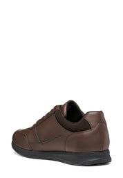 Sneakers Marrone Geox