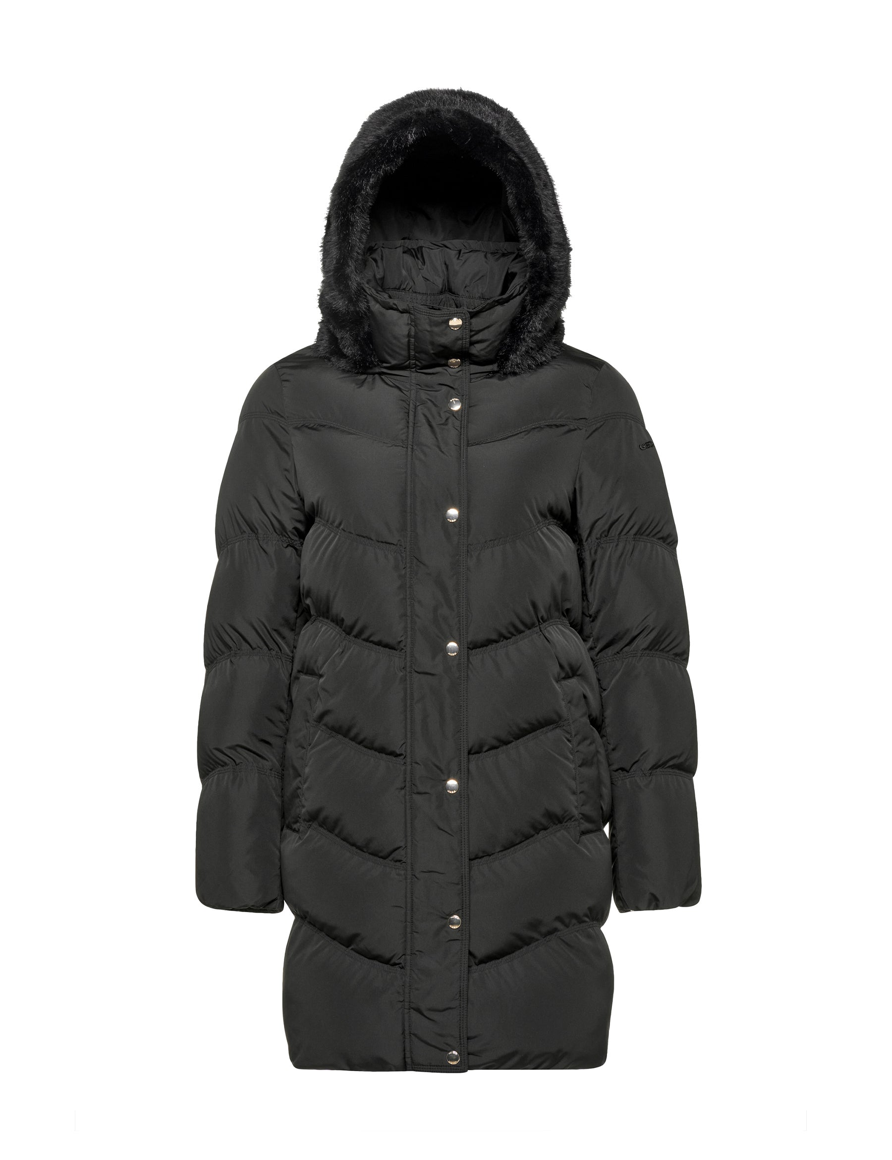 Piumini Nero Geox