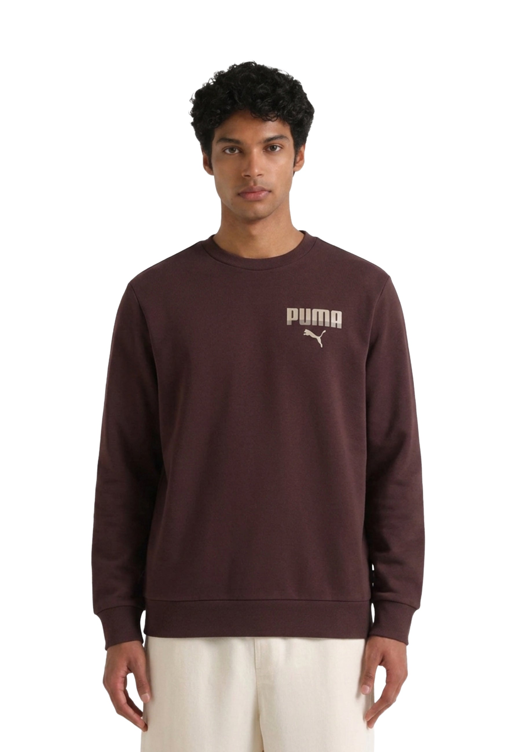 Felpe Marrone Puma