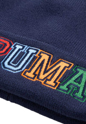 Cappelli Blu Puma
