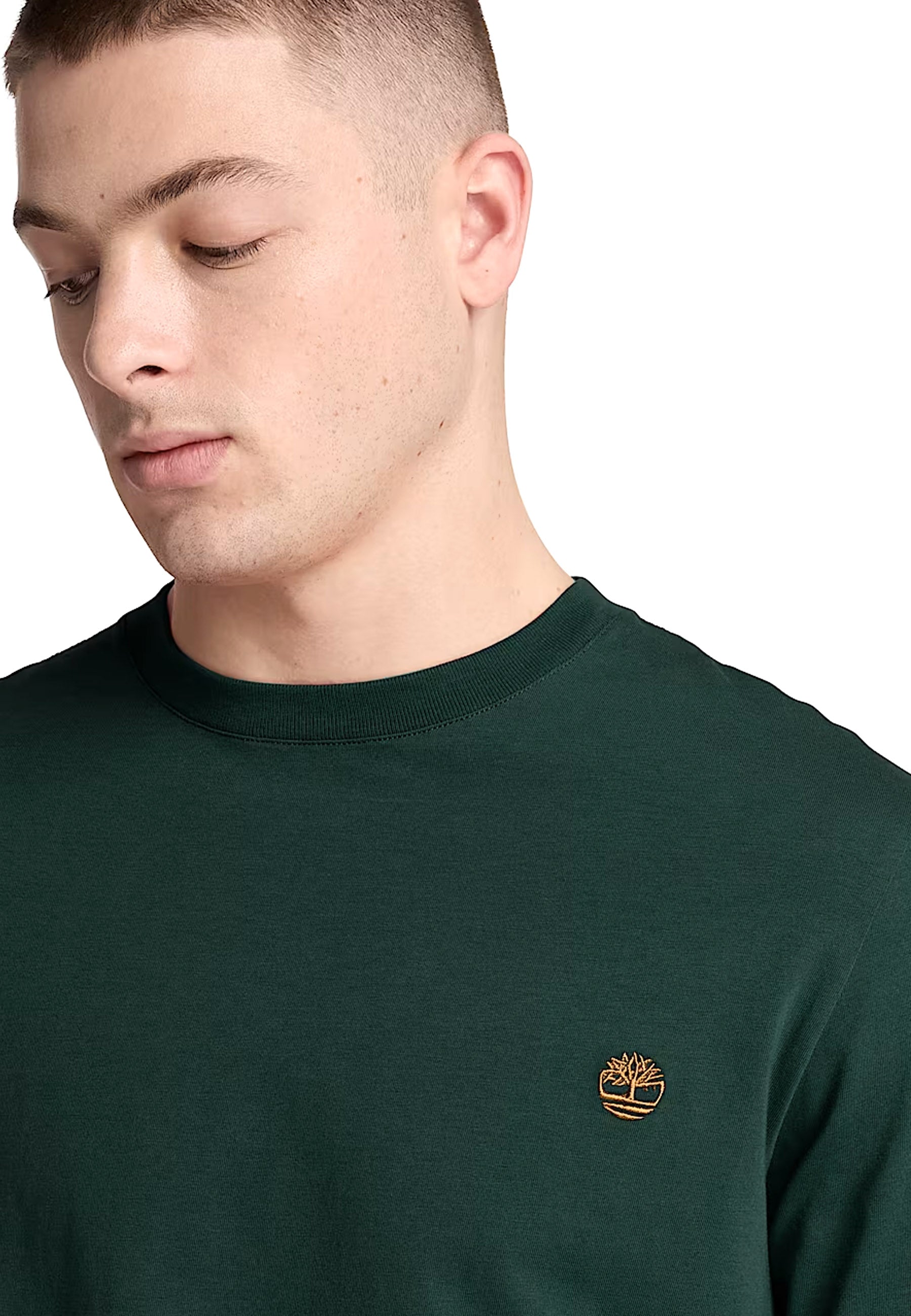 T-shirt Verde Timberland