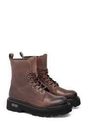 Anfibi Marrone Cult