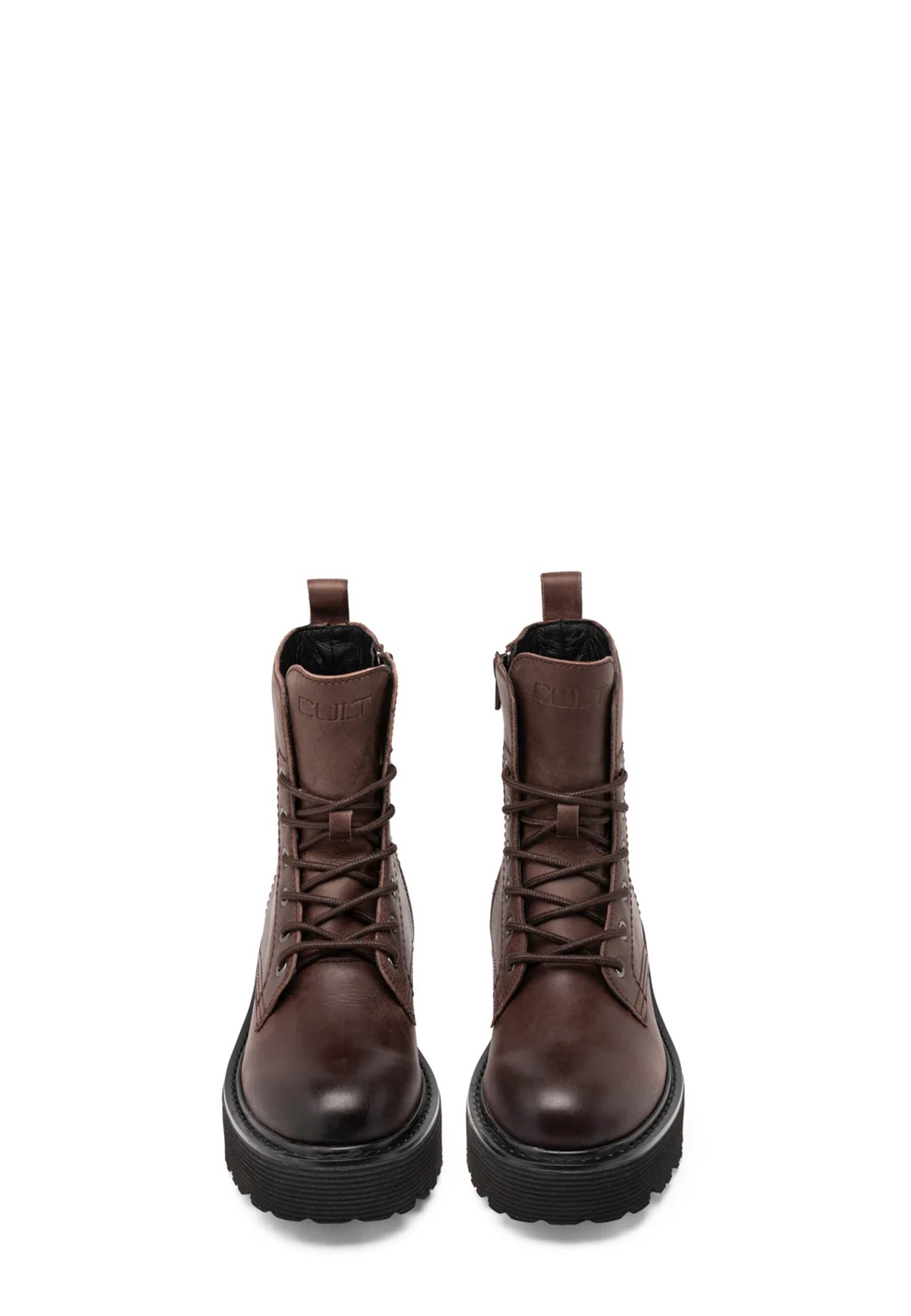 Anfibi Marrone Cult