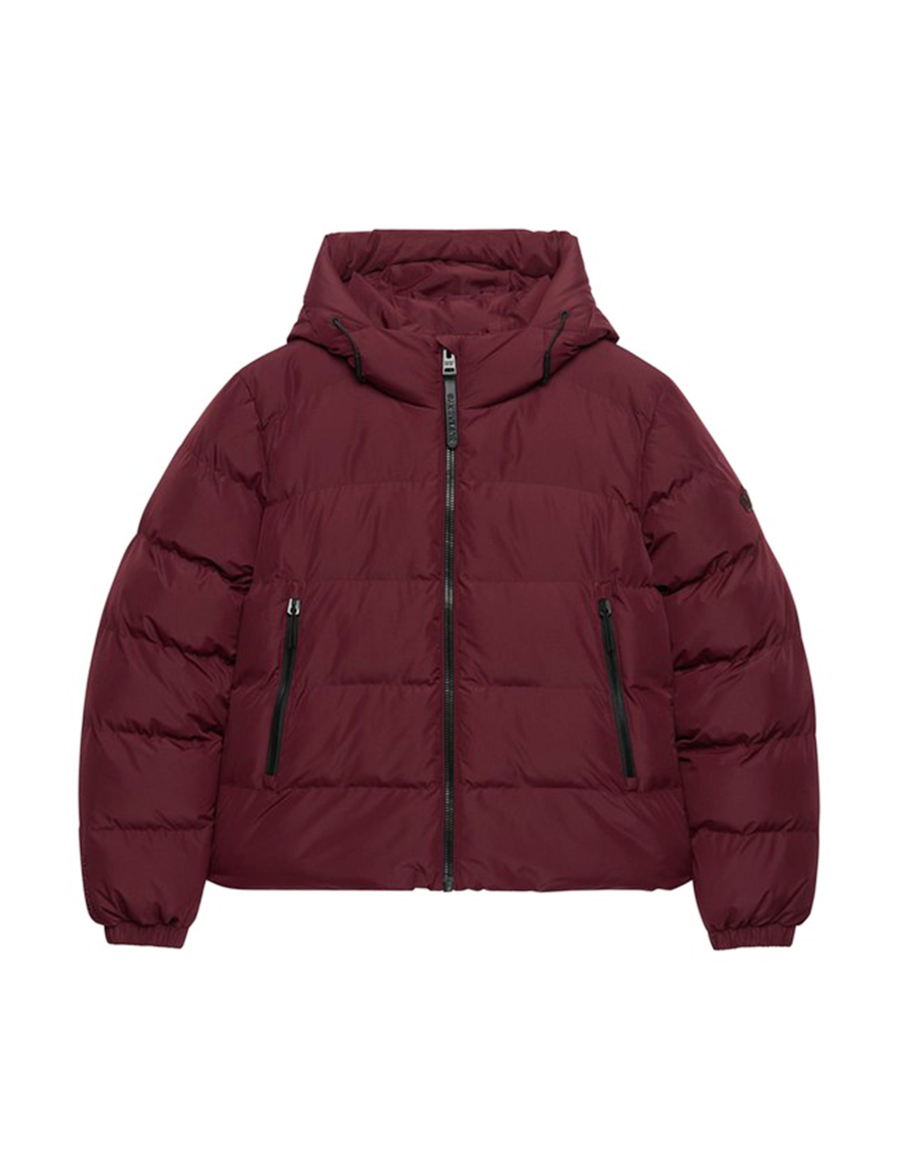 Piumini Bordeaux Superdry